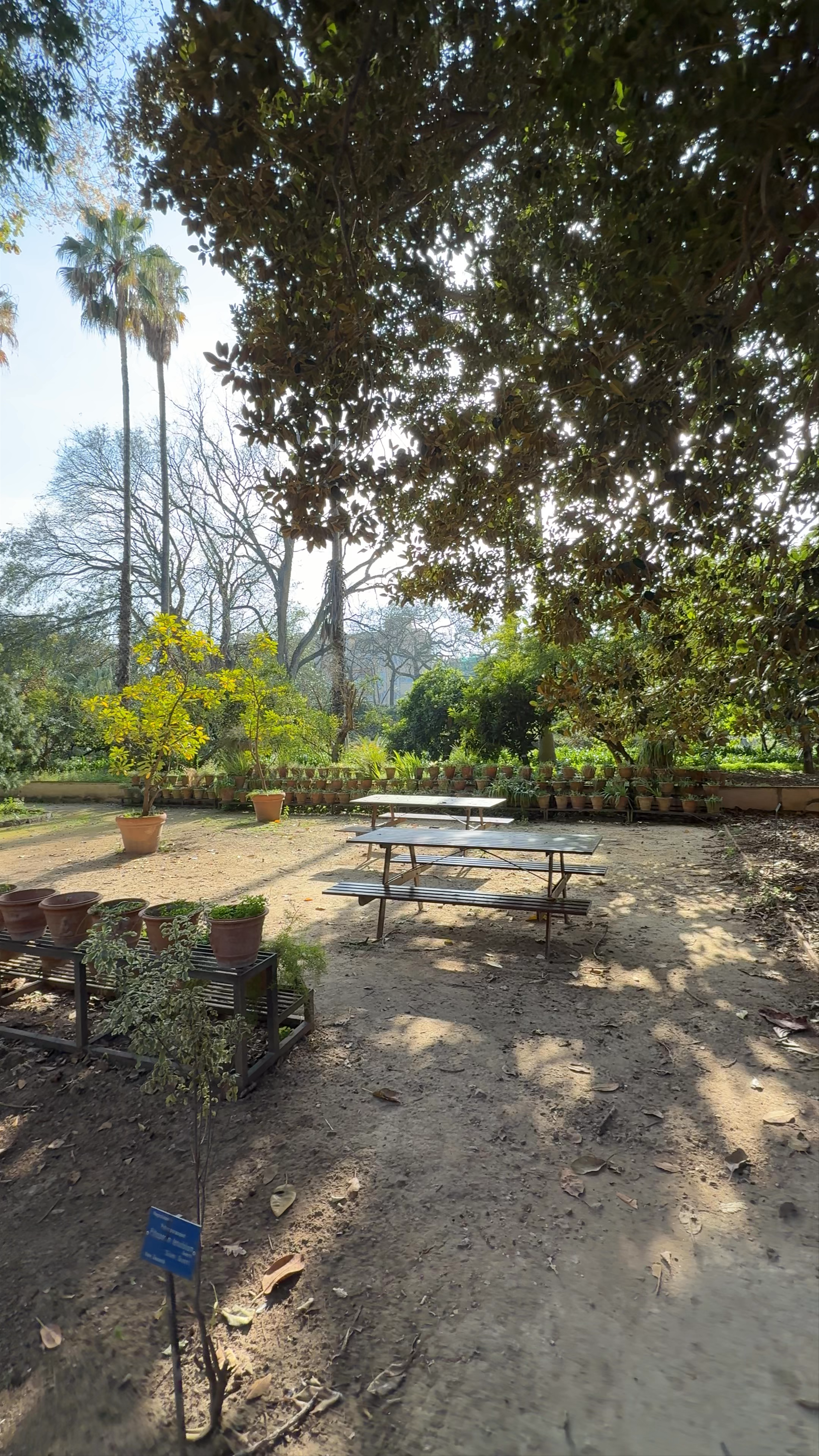 Orto Botanico di Palermo