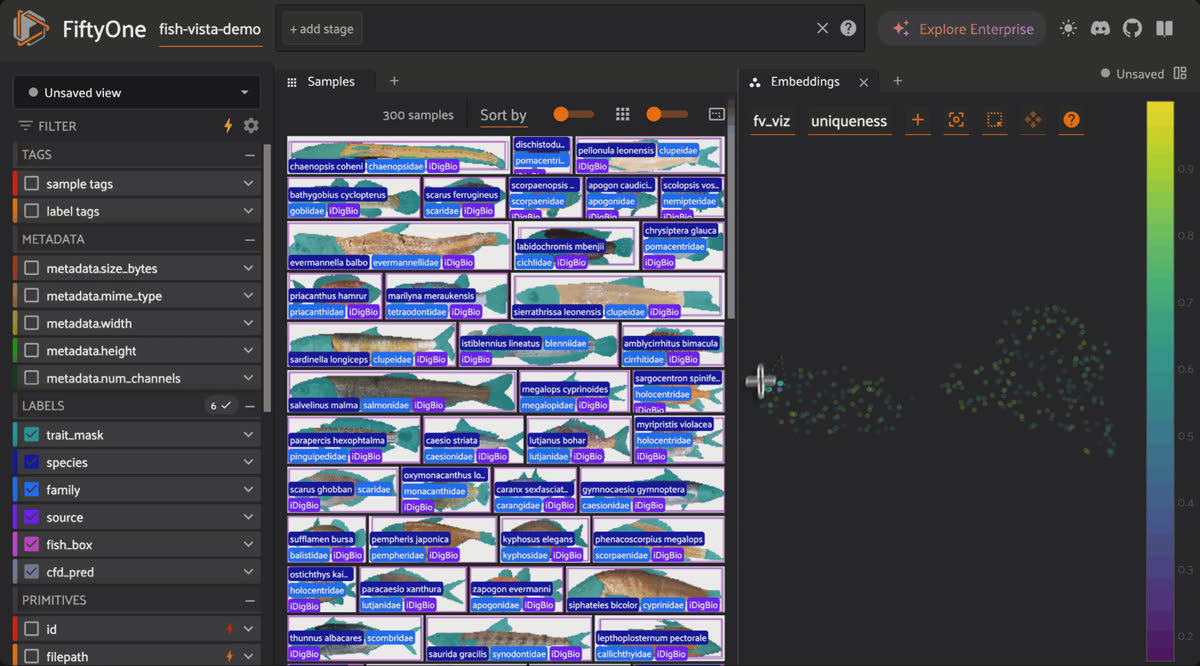 FiftyOne filtering Fish-Vista's long tail of ~1,900 imbalanced species with segmentation masks displayed