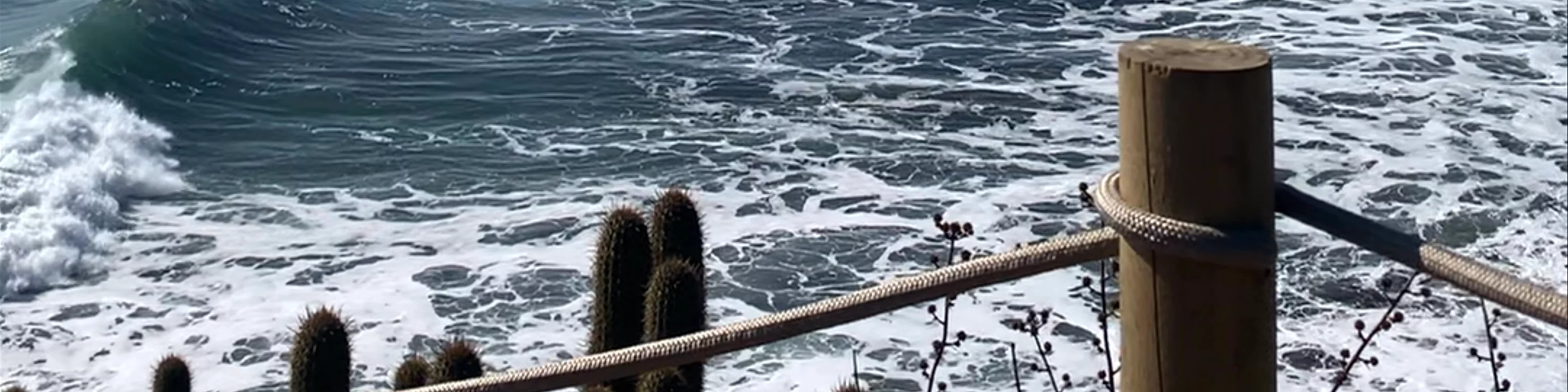 Punta de Lobos