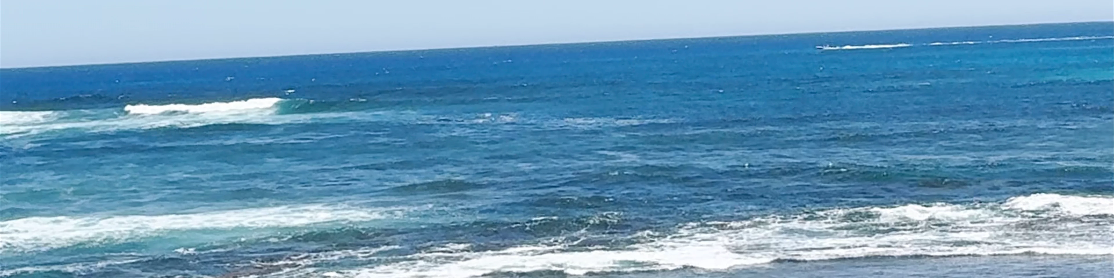 Little Salmon Bay