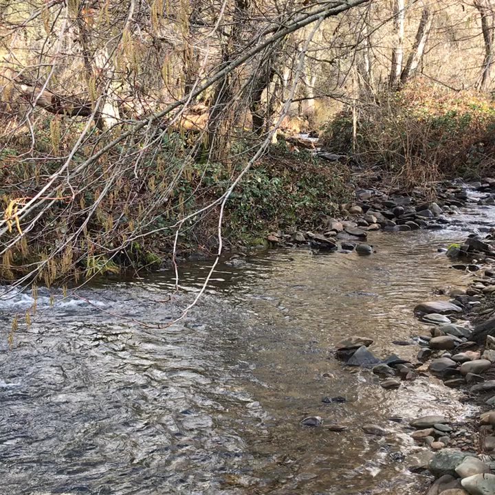 HIDDEN FALLS REGIONAL PARK - Updated October 2025 - 1163 Photos & 271 ...