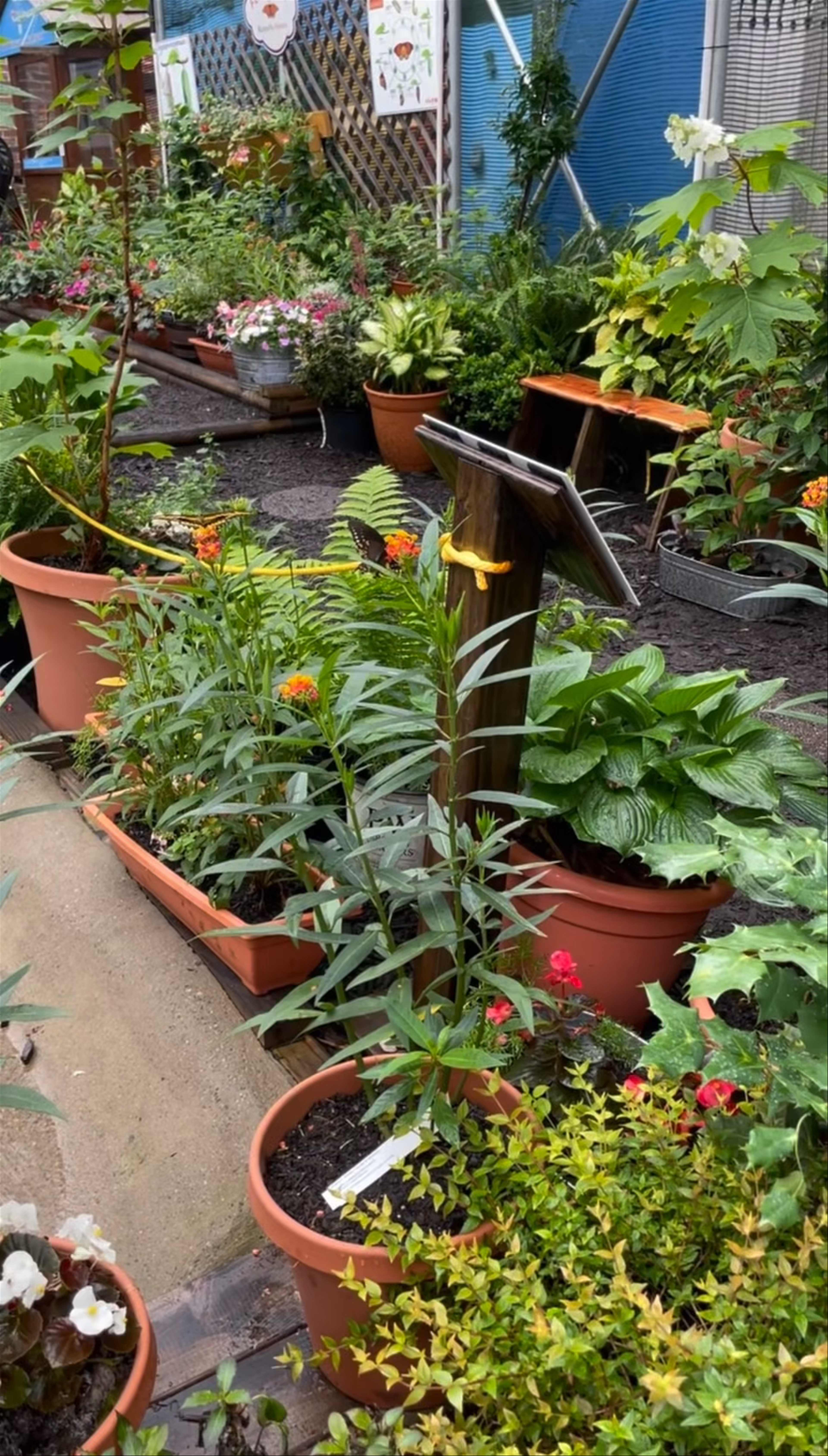 Catawba Science Center