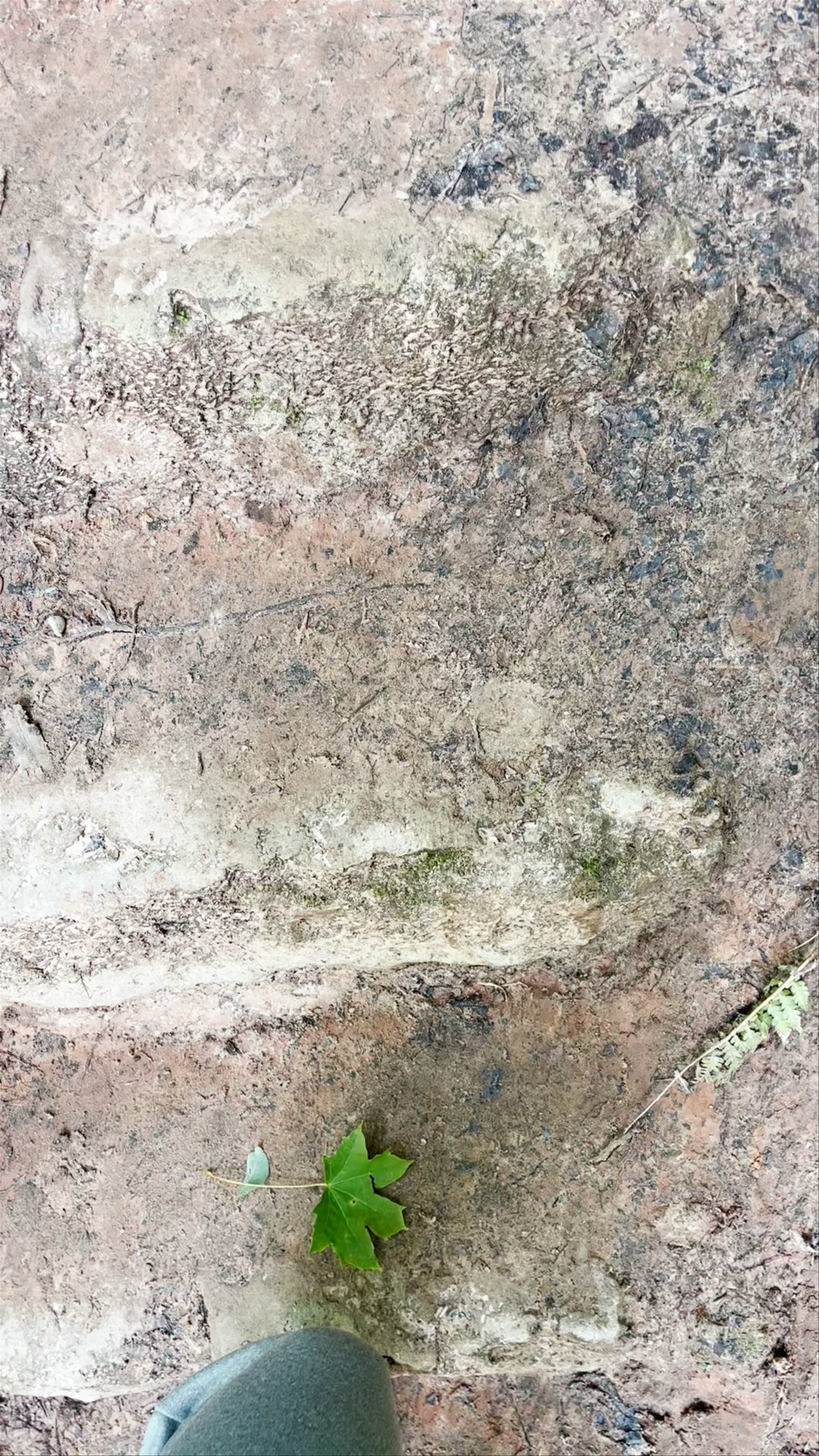 Exploring Gutman's Cave: Mystical Forest Walk in Sigulda, Latvia