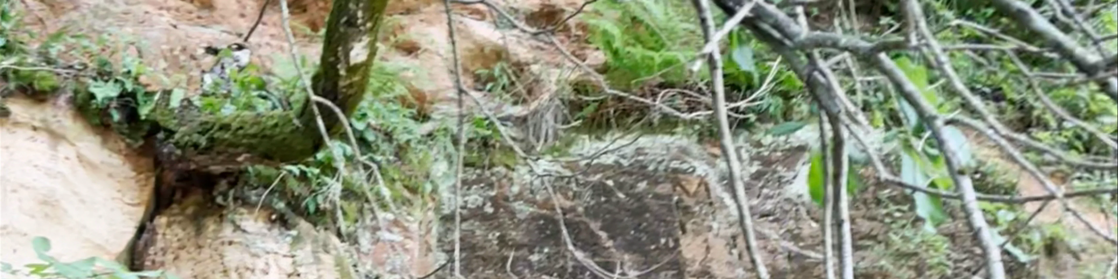 Gutman's Cave