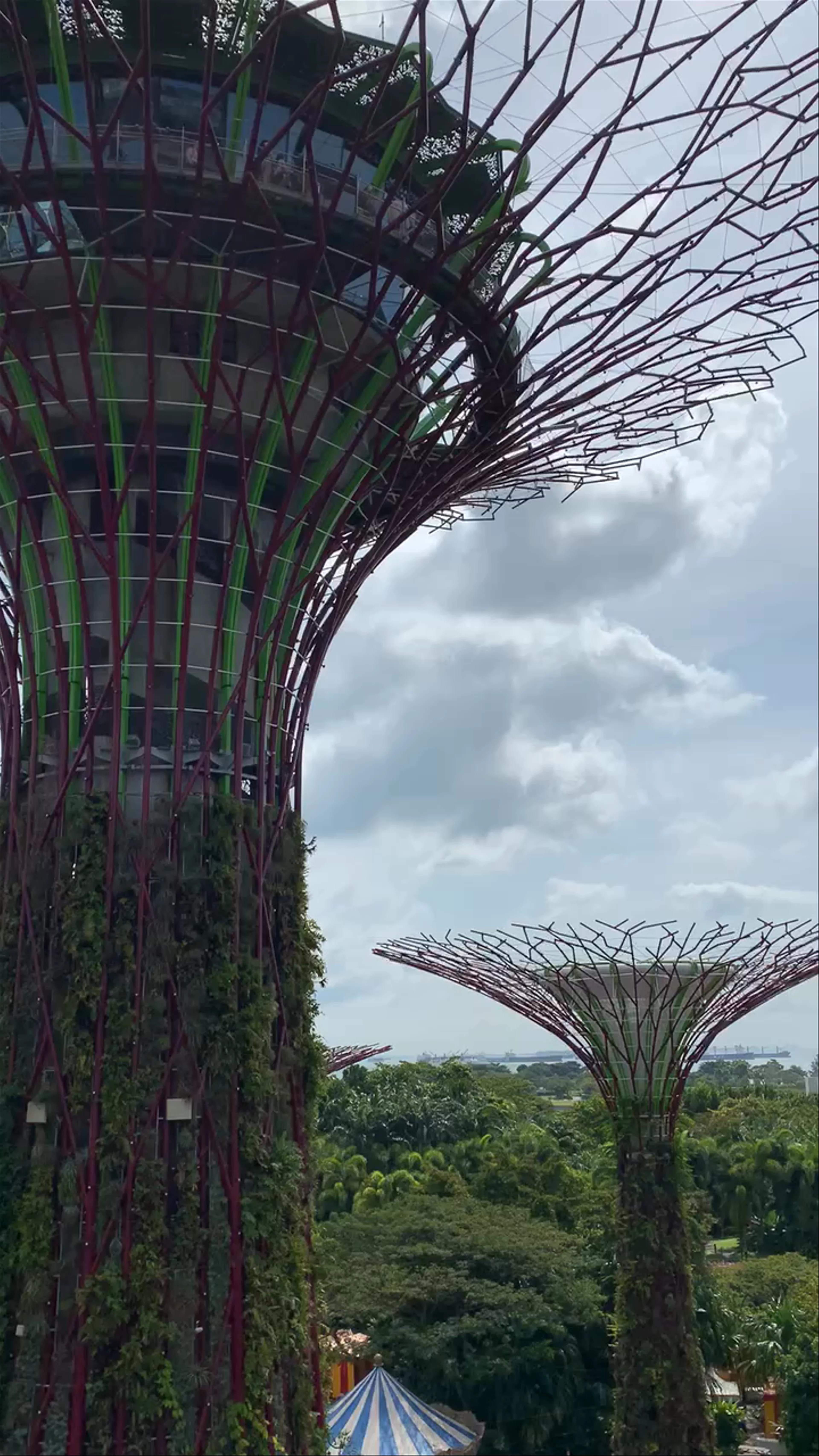 Gardens by the Bay
