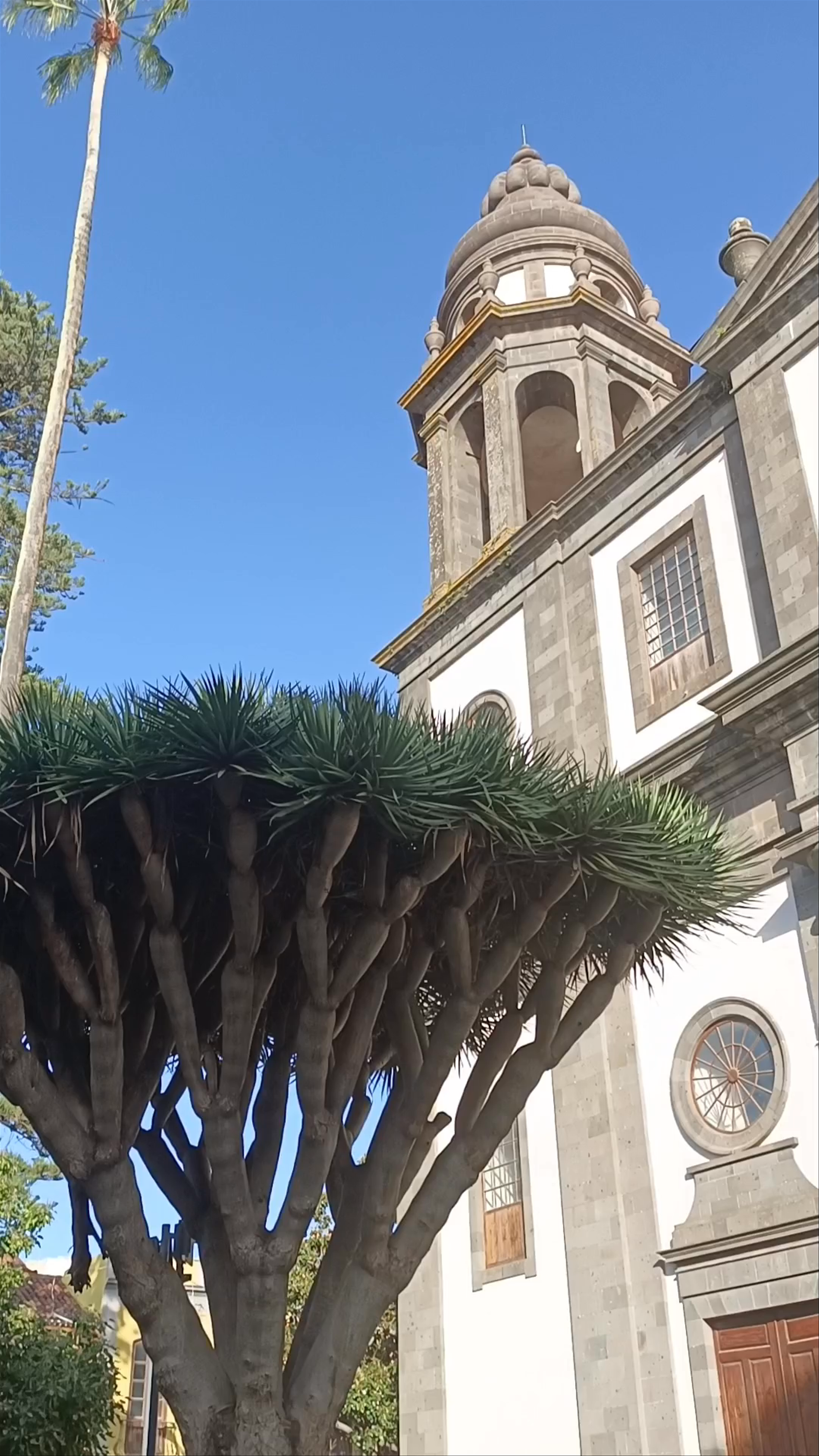 Discovering Catedral de la Laguna in La Laguna, Canary Islands