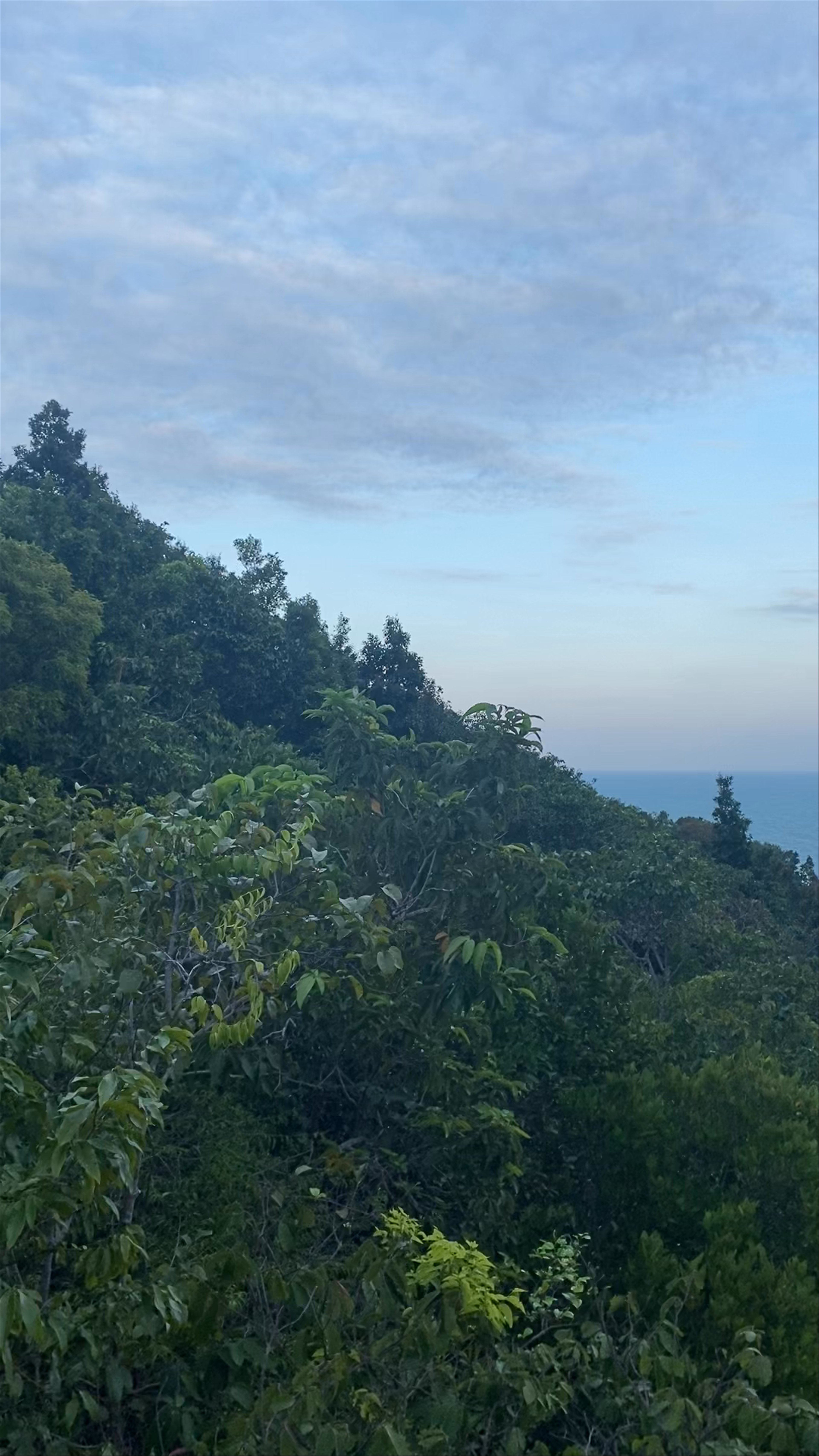 Headtrail for Bottle Beach