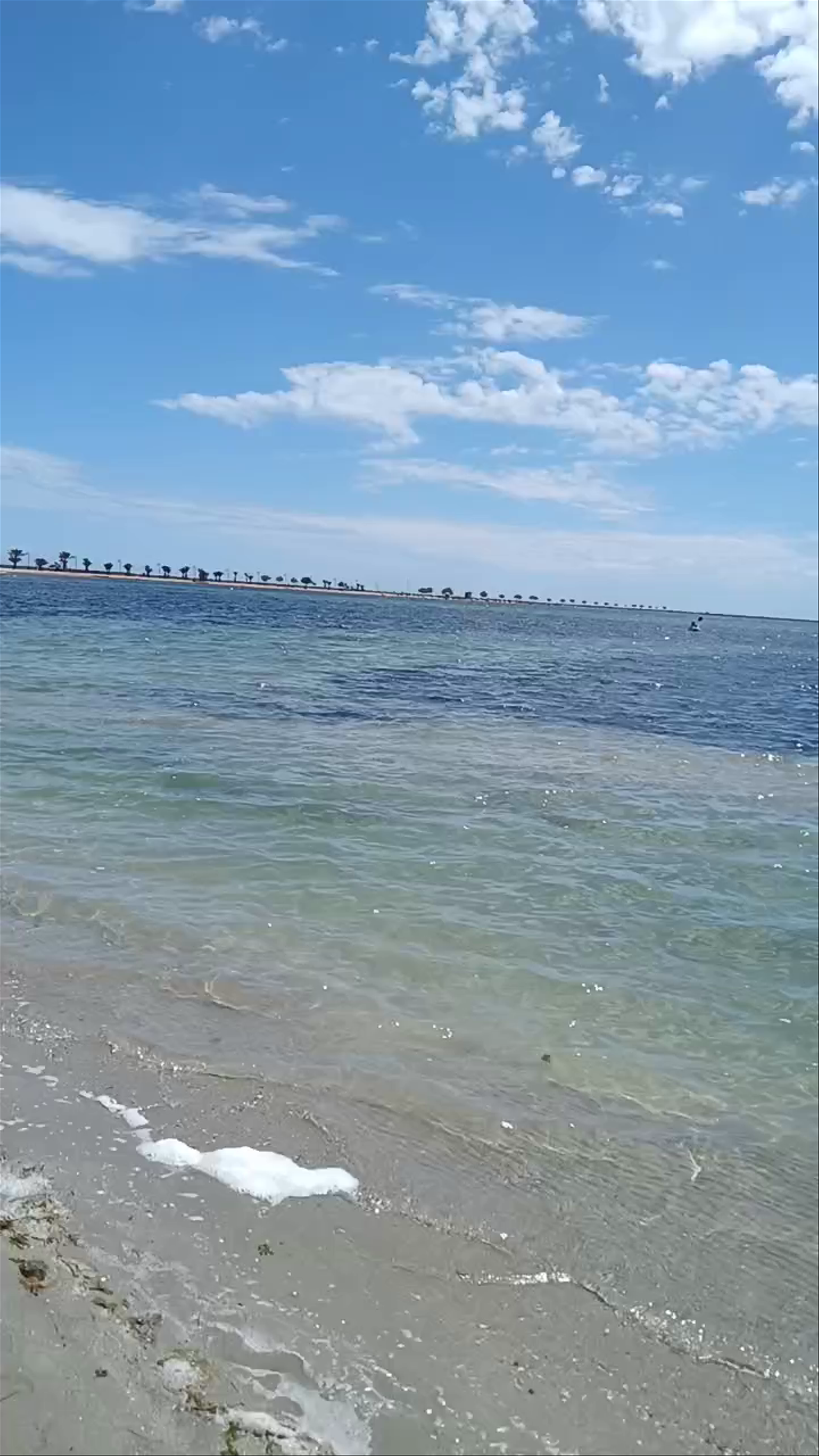 Playa de Villananitos