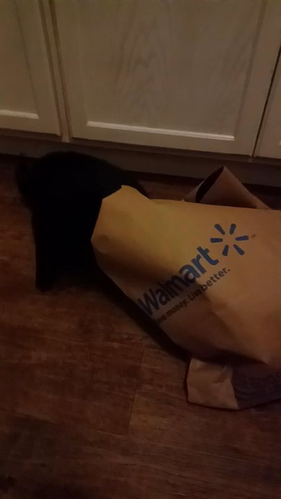 Walmart - Department Stores Near Me - San Leandro, California