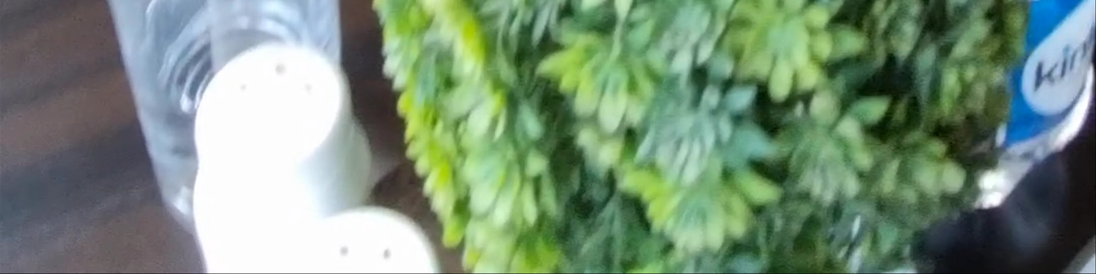 Ever Green Salad Bar Tapovan Laxmanjhula