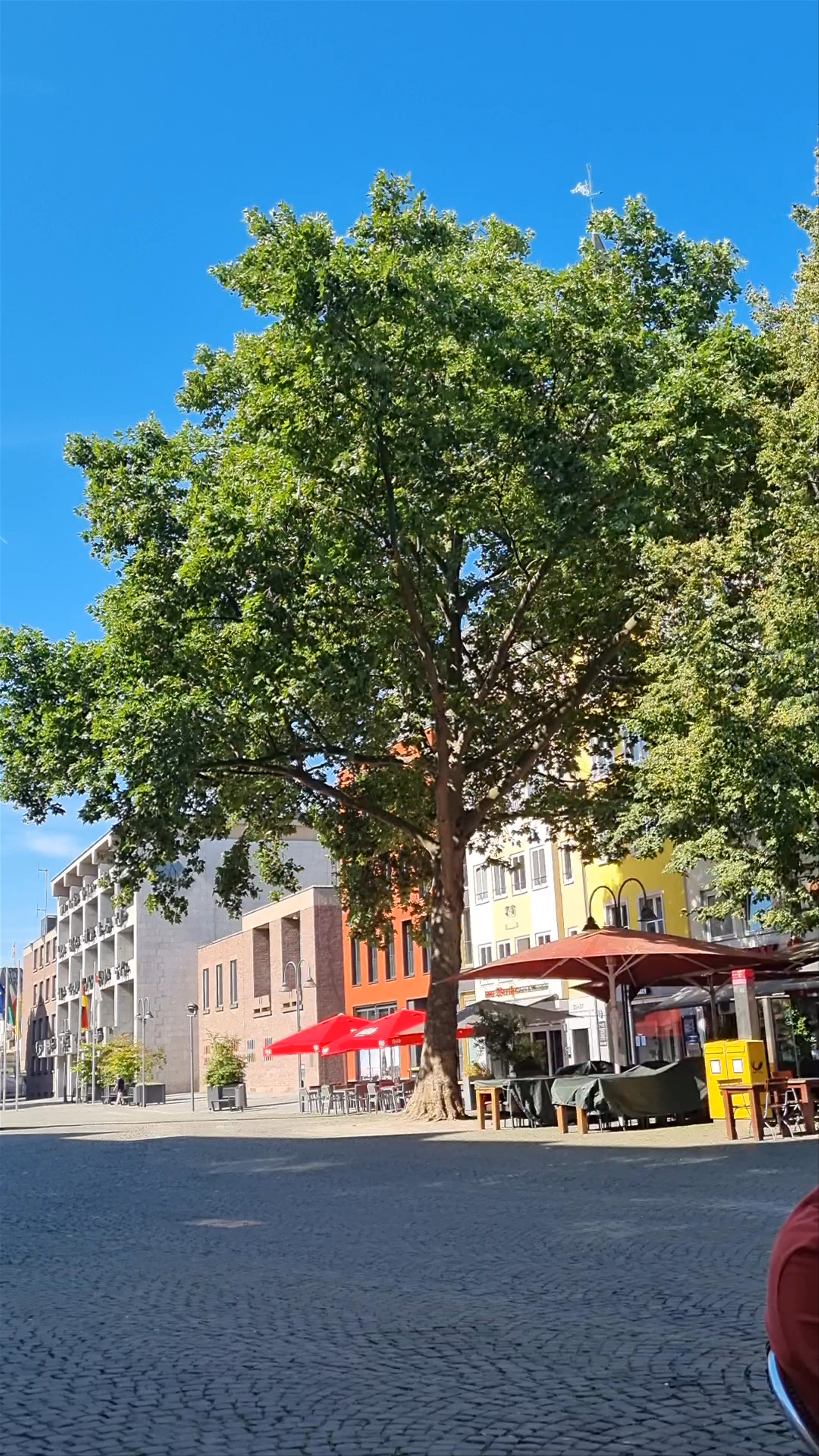 Oma Janßen Colonialwarenhandel - Köln