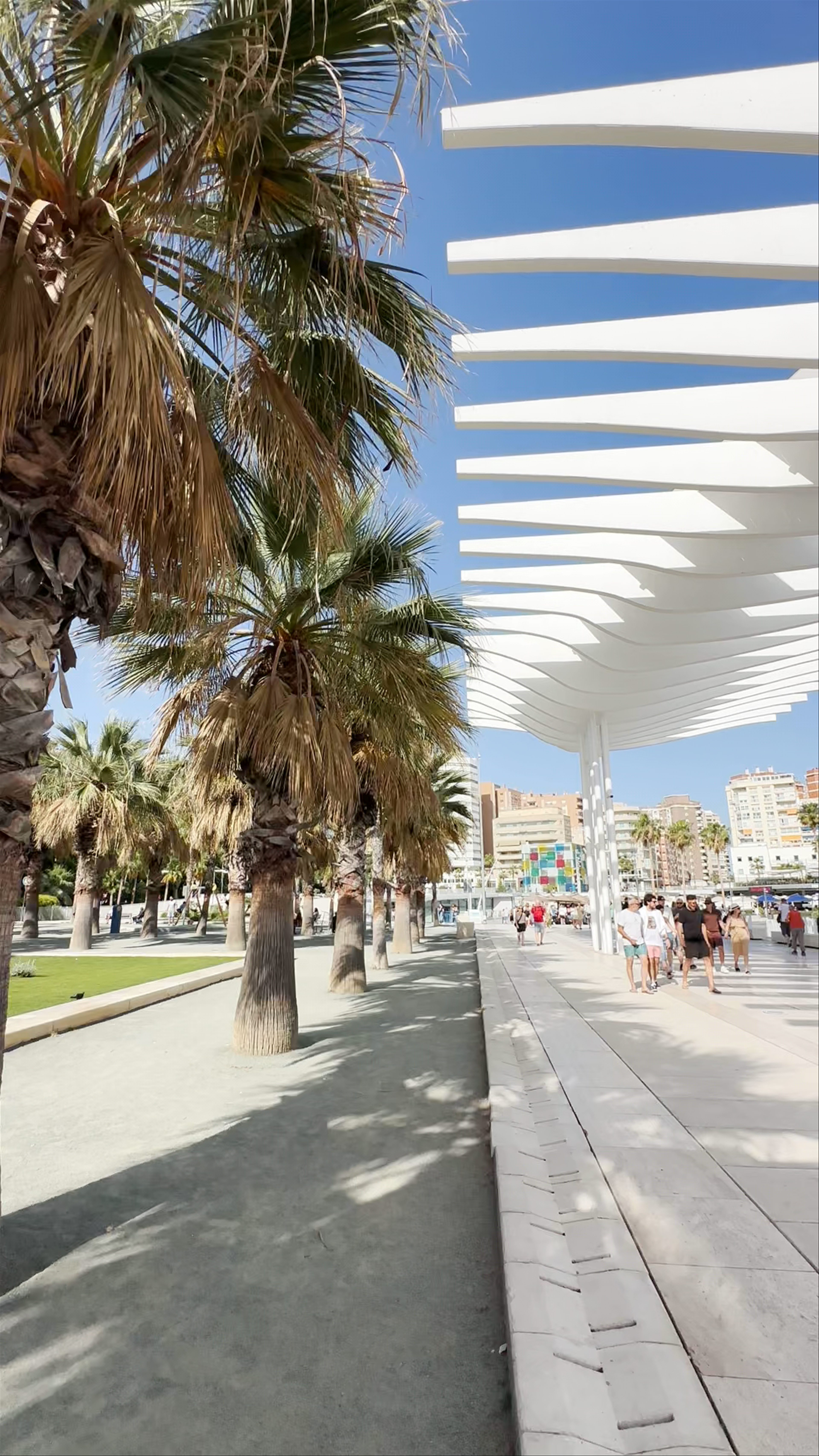 Palm Fringed Walkways at Palmeral de Las Sorpresas, Málaga