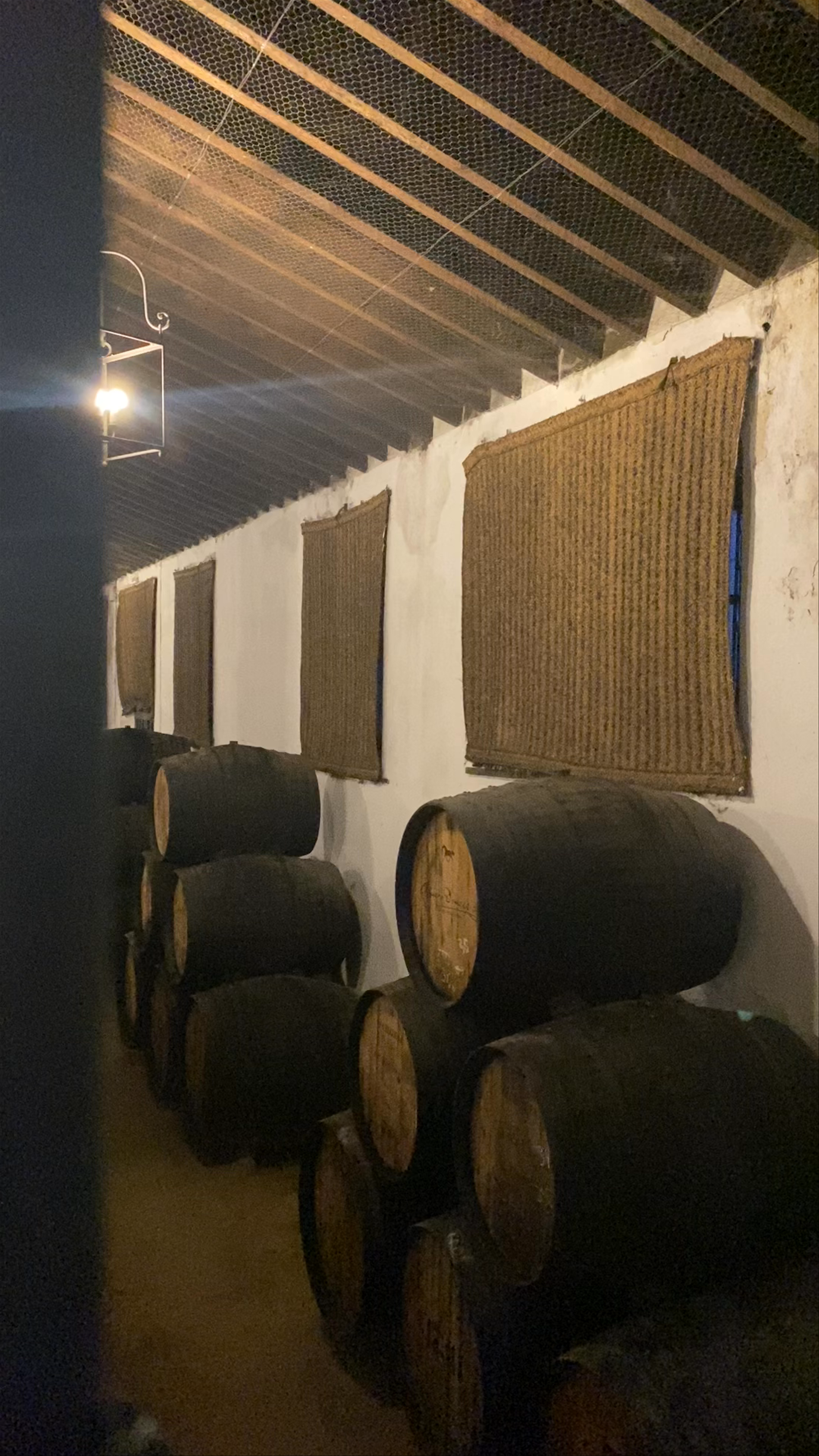 BODEGAS ÁLVARO DOMECQ
