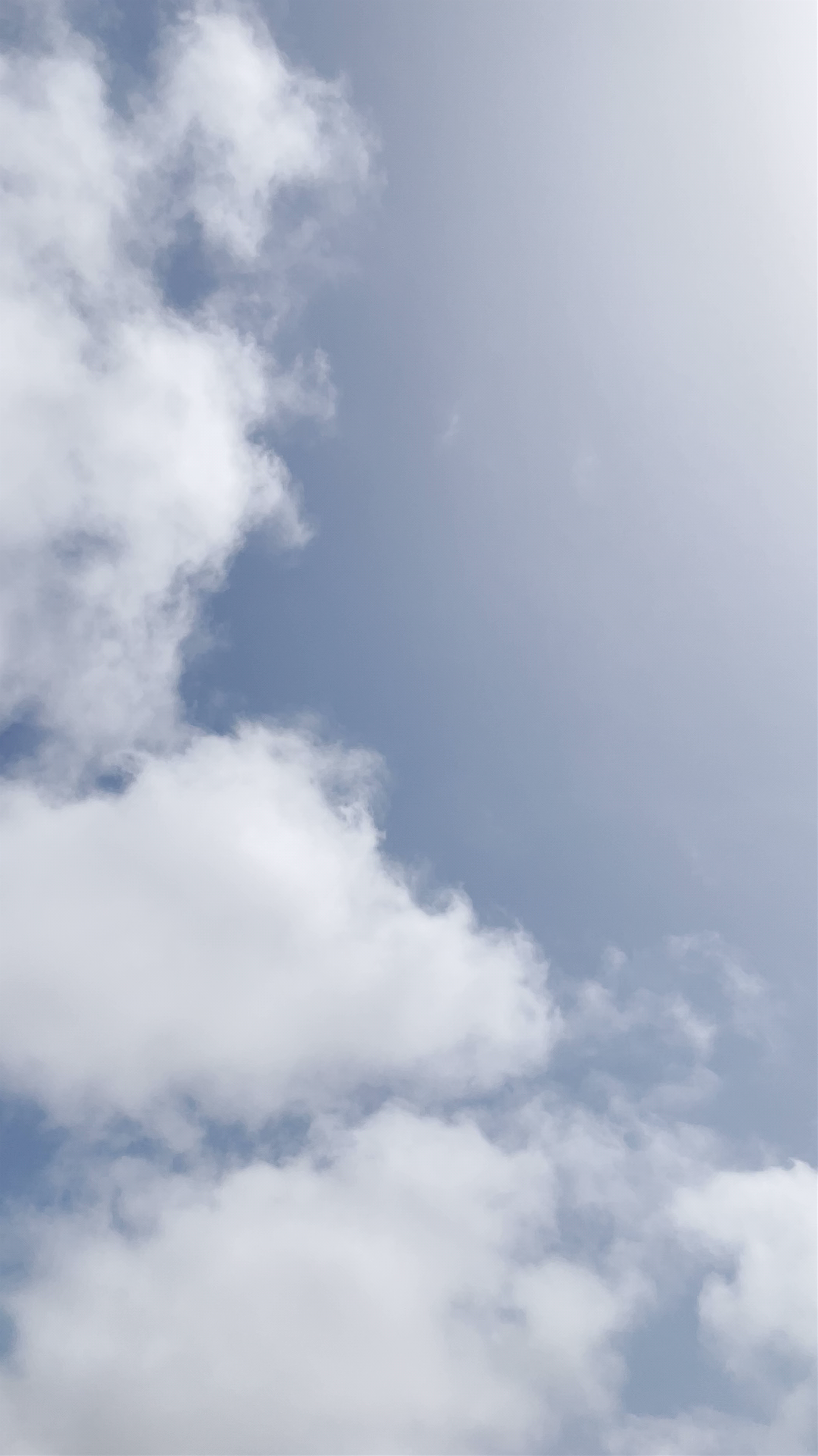 Terra Boa / Fata Morgana