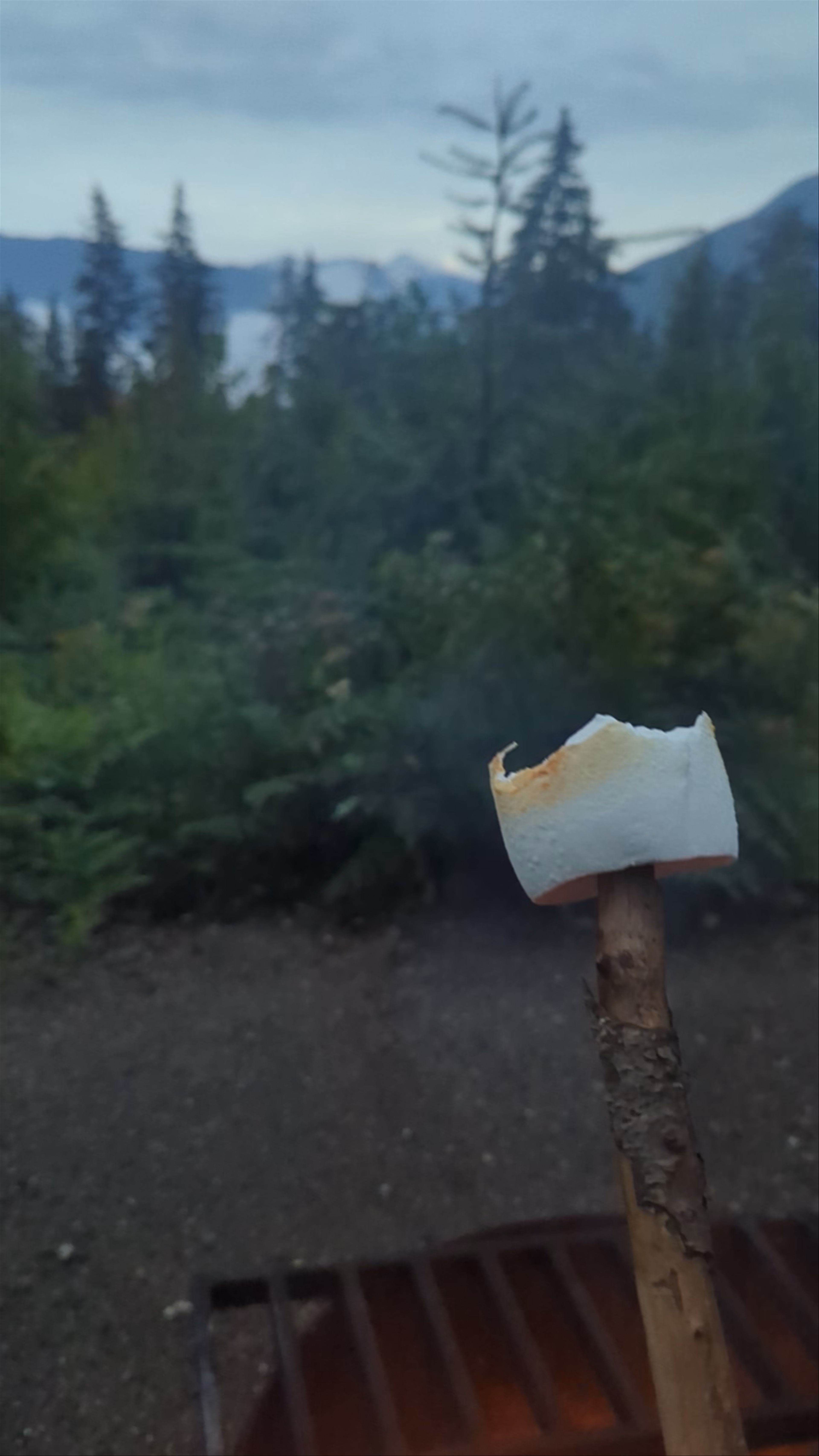 Begbie Falls Recreation Site