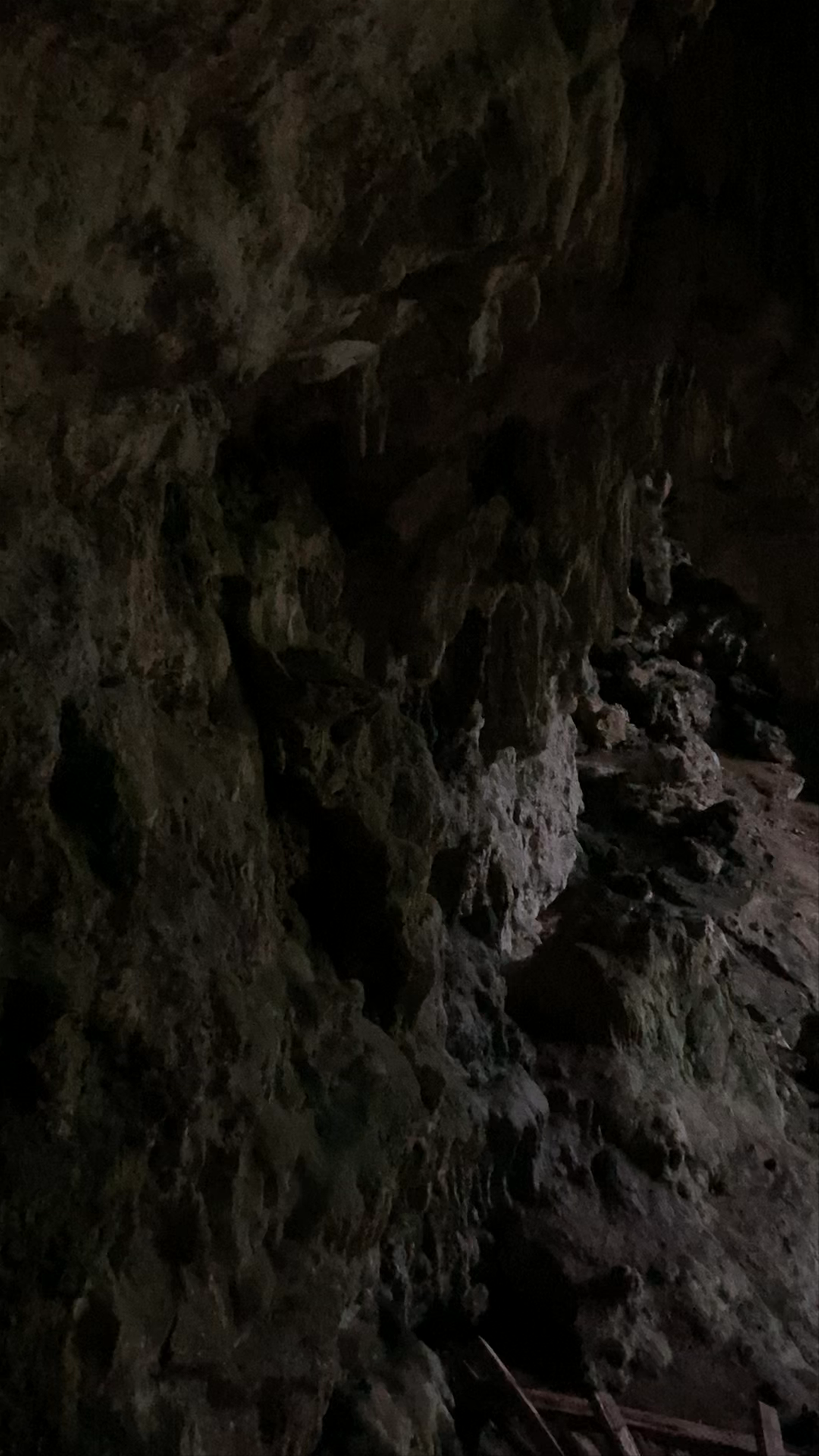 Liang Bua Cave (Hobbit Cave)