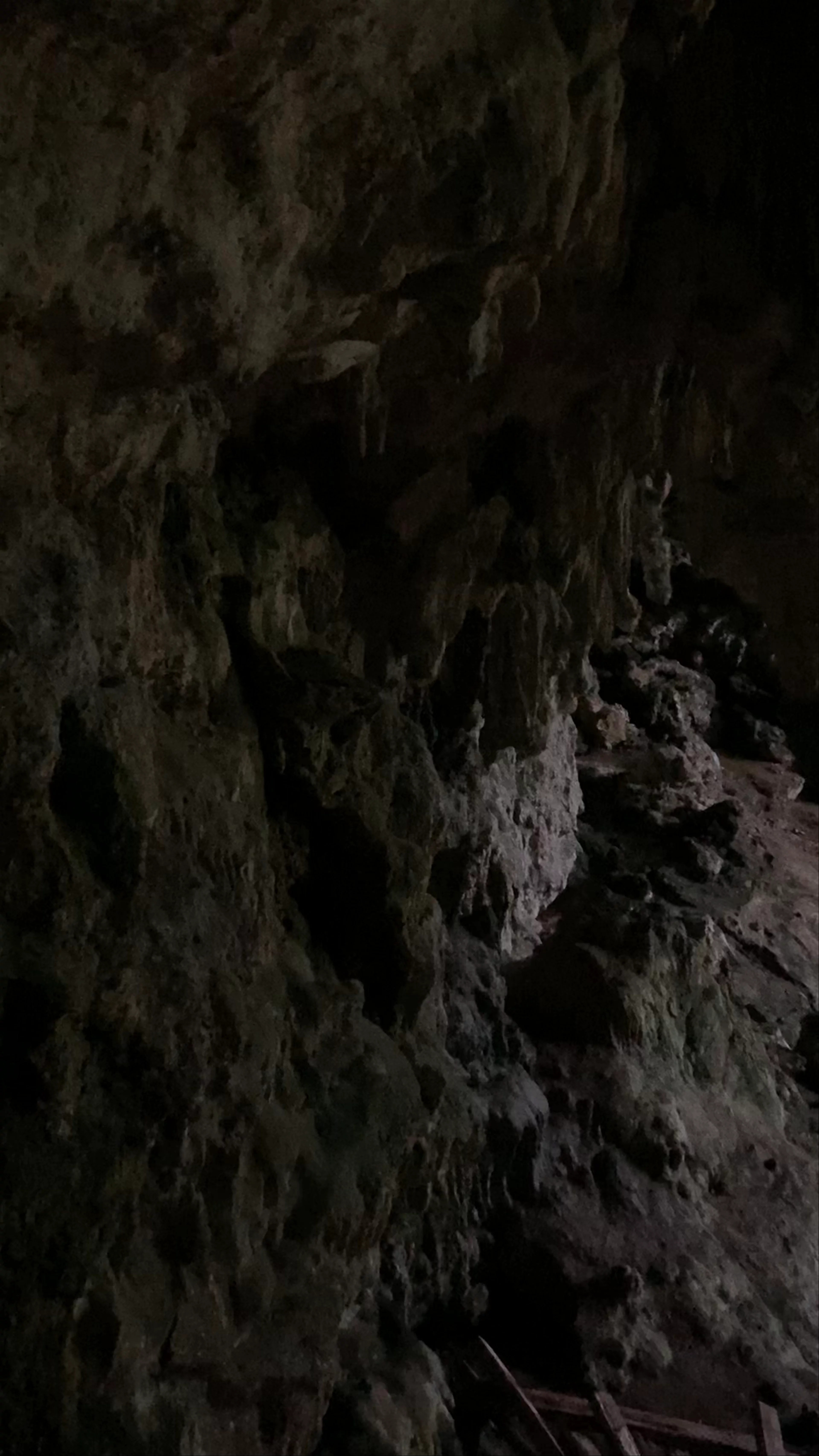 Liang Bua Cave