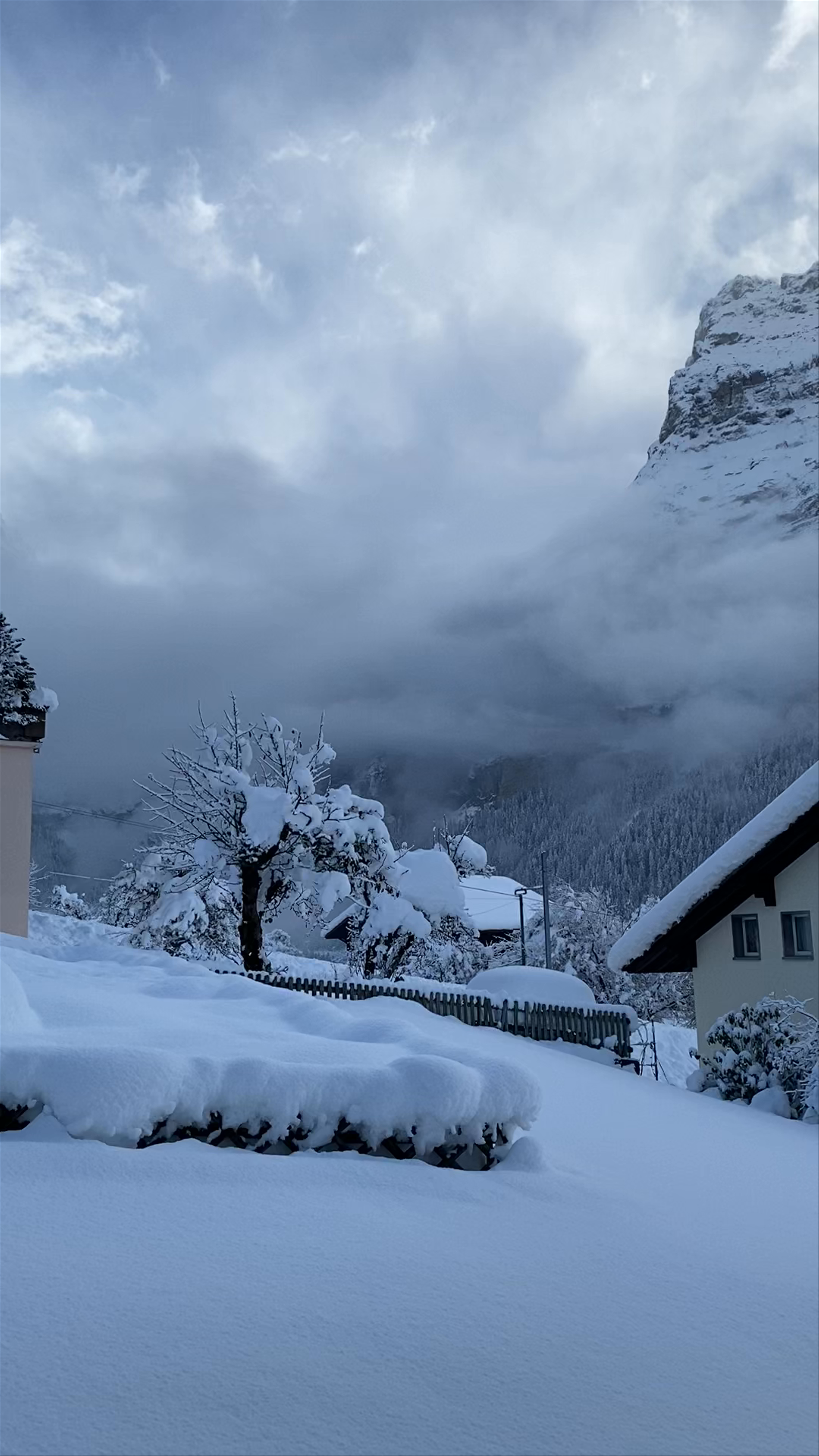 Winter Wonderland in Grindelwald: Serene Snow-Covered Alpine Village