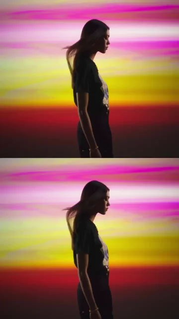 Louis Vuitton - © Artlist