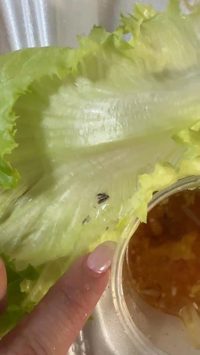 Pho Vu - What is in the back of my letttuce!!!! Not one but 2 that I found!!! Disgusting!!!! - Vietnamese Near Me - Palm Desert, California
