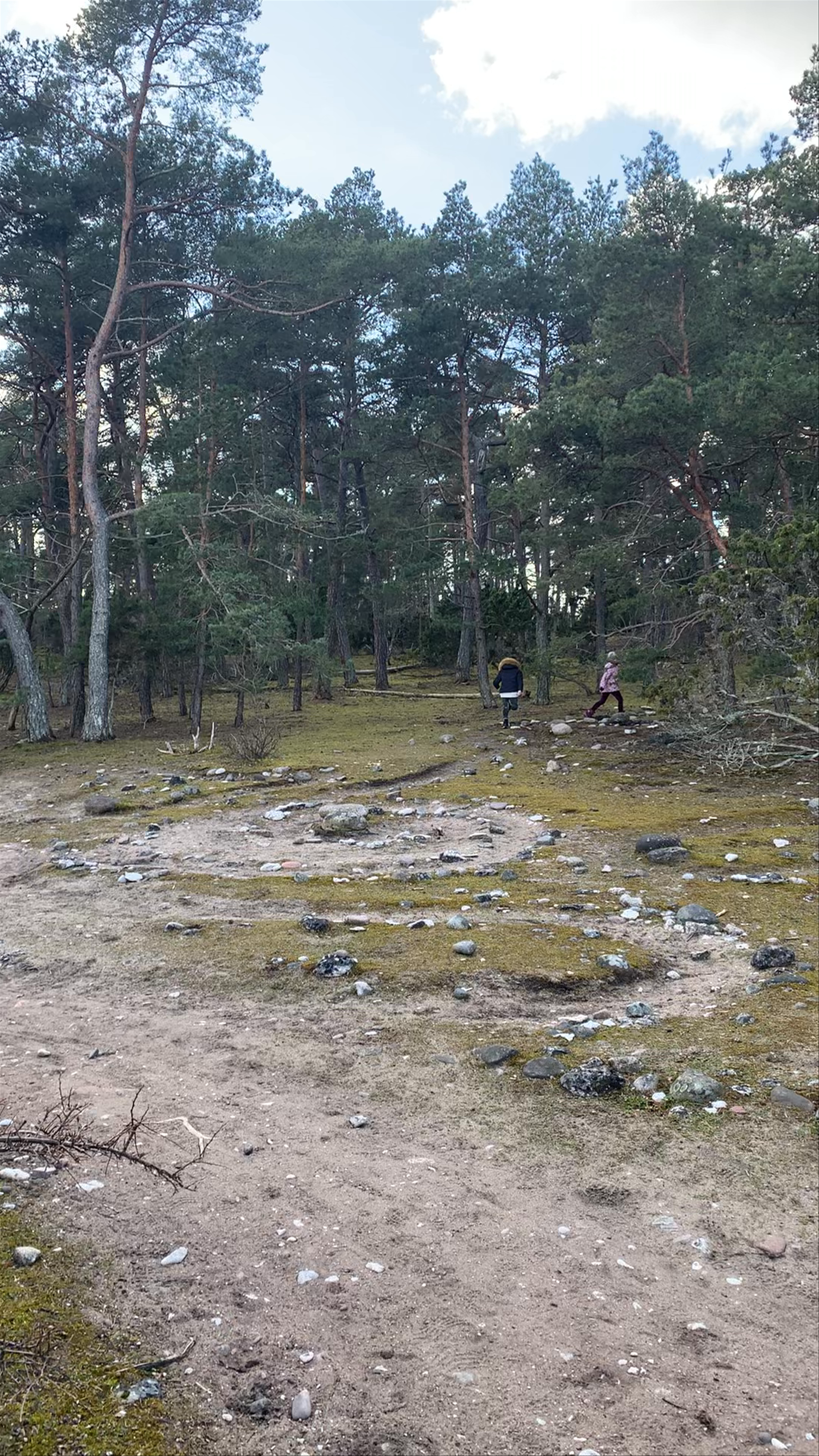 Folhammar Raukområde