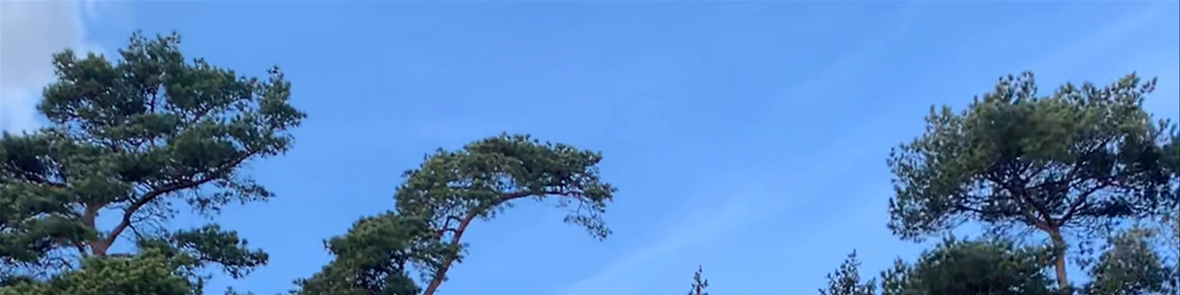 Folhammar Raukområde