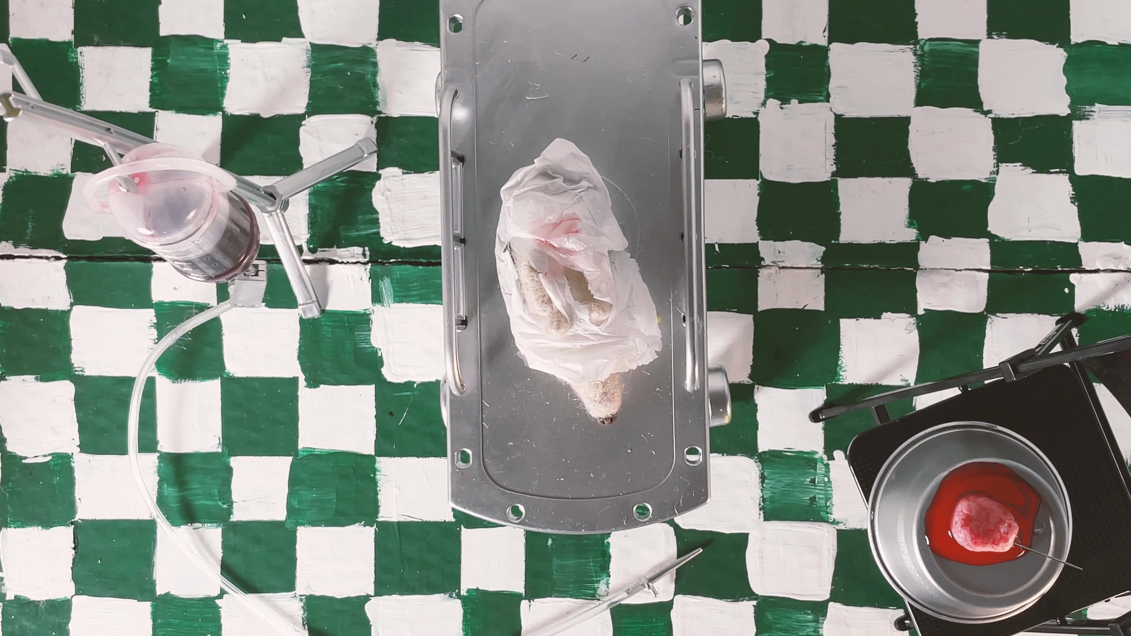 A miniature hedgehog sits on an operating table within a stylized, checkered-floor diorama, accompanied by medical IV equipment and a red button. The scene presents a surreal, stop-motion-inspired medical aesthetic.