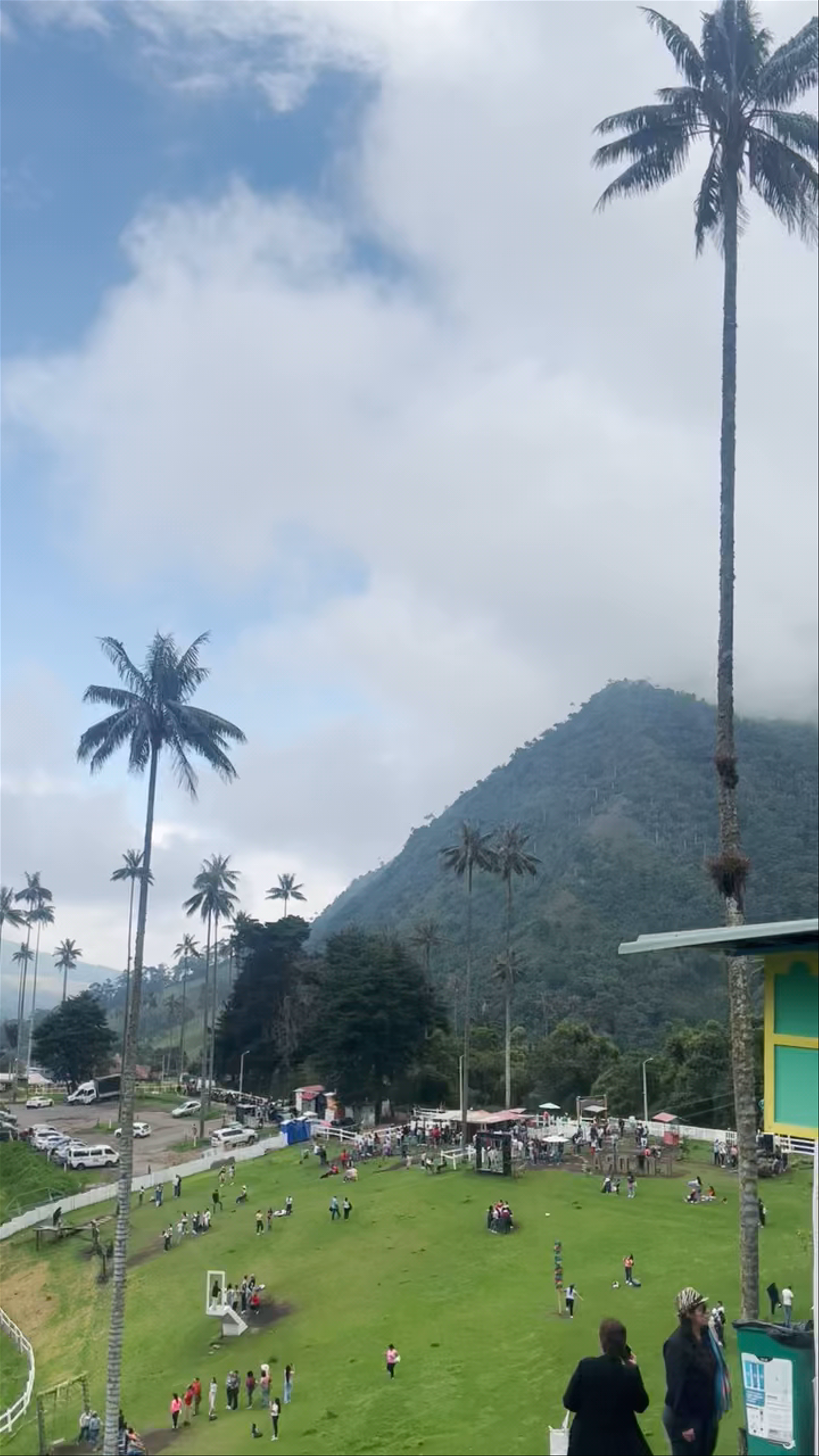 Valle del Cocora: Majestic Palms and Lush Mountain Beauty in Quindío, Colombia