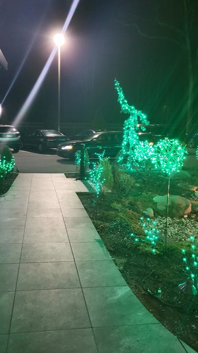 Drifters Kitchen and Bar - Decorated for St Patty's Day - Cocktail Bars Near Me - Ridge, New York