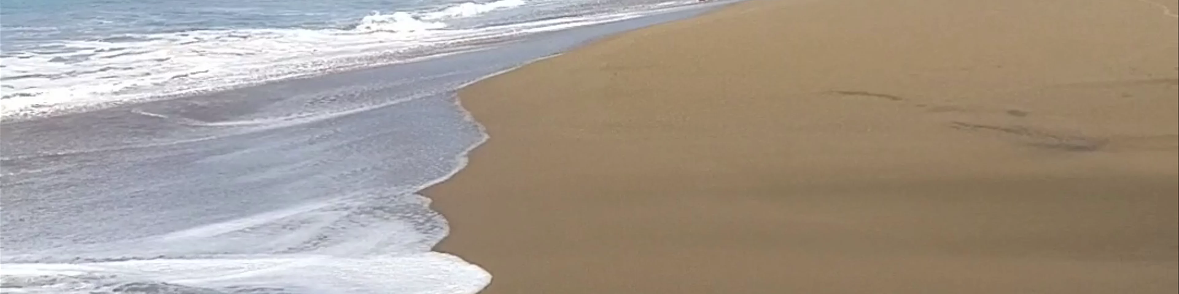 Playa Los Destiladeros