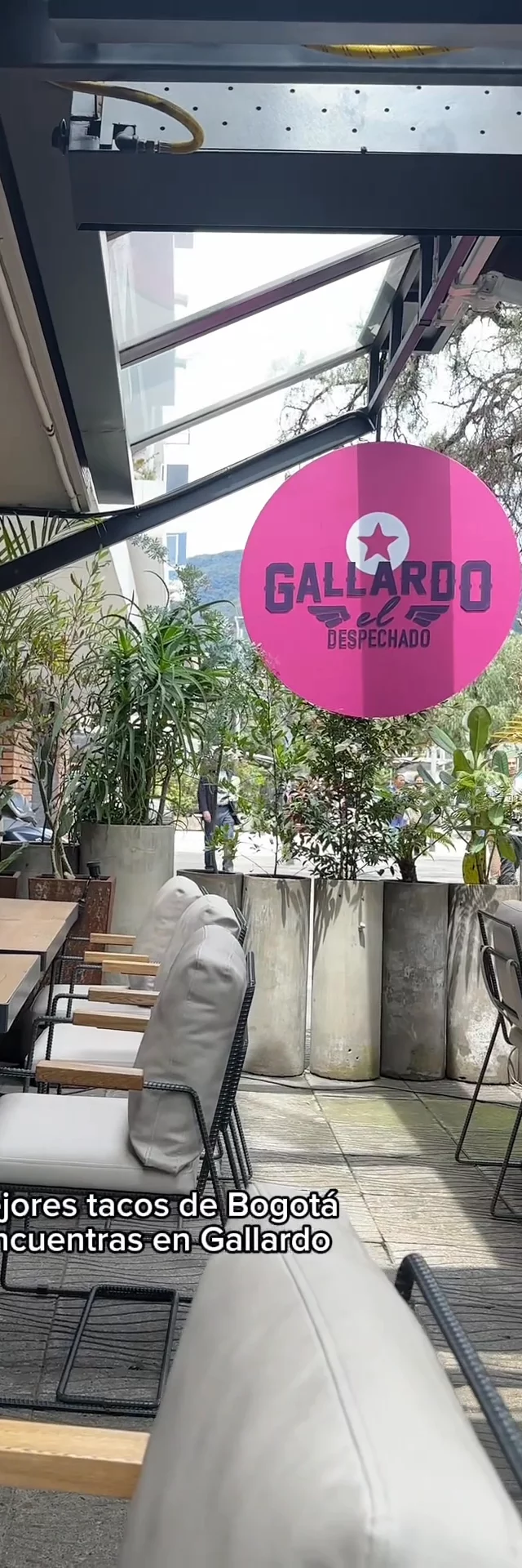 Gallardo tacos 