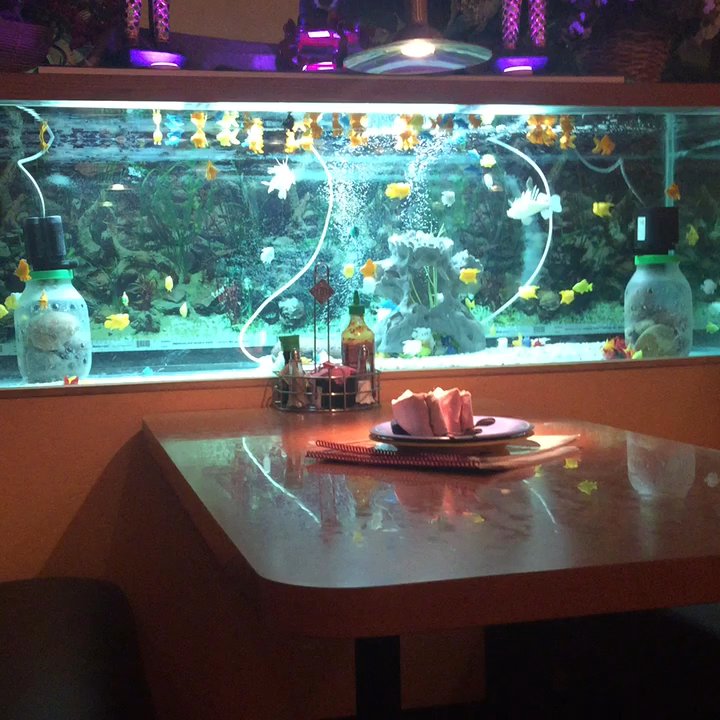 Sala Thai - Fake fish - weeeeeeird.... - Thai Near Me - Phoenix, Arizona