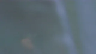 Pop Magazine - © Artlist