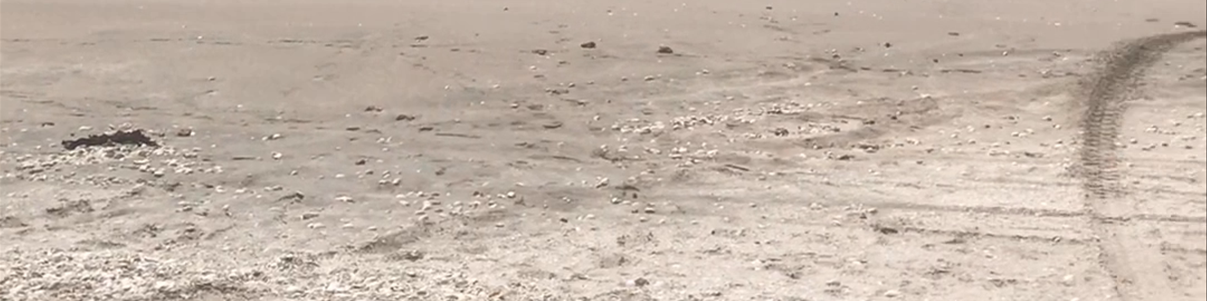 Eighty Mile Beach