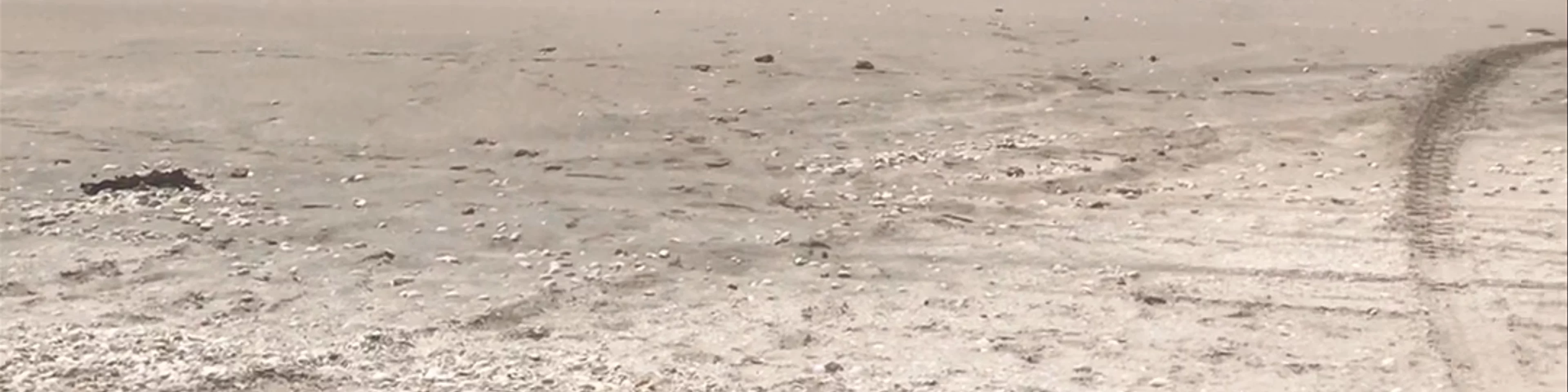 Eighty Mile Beach