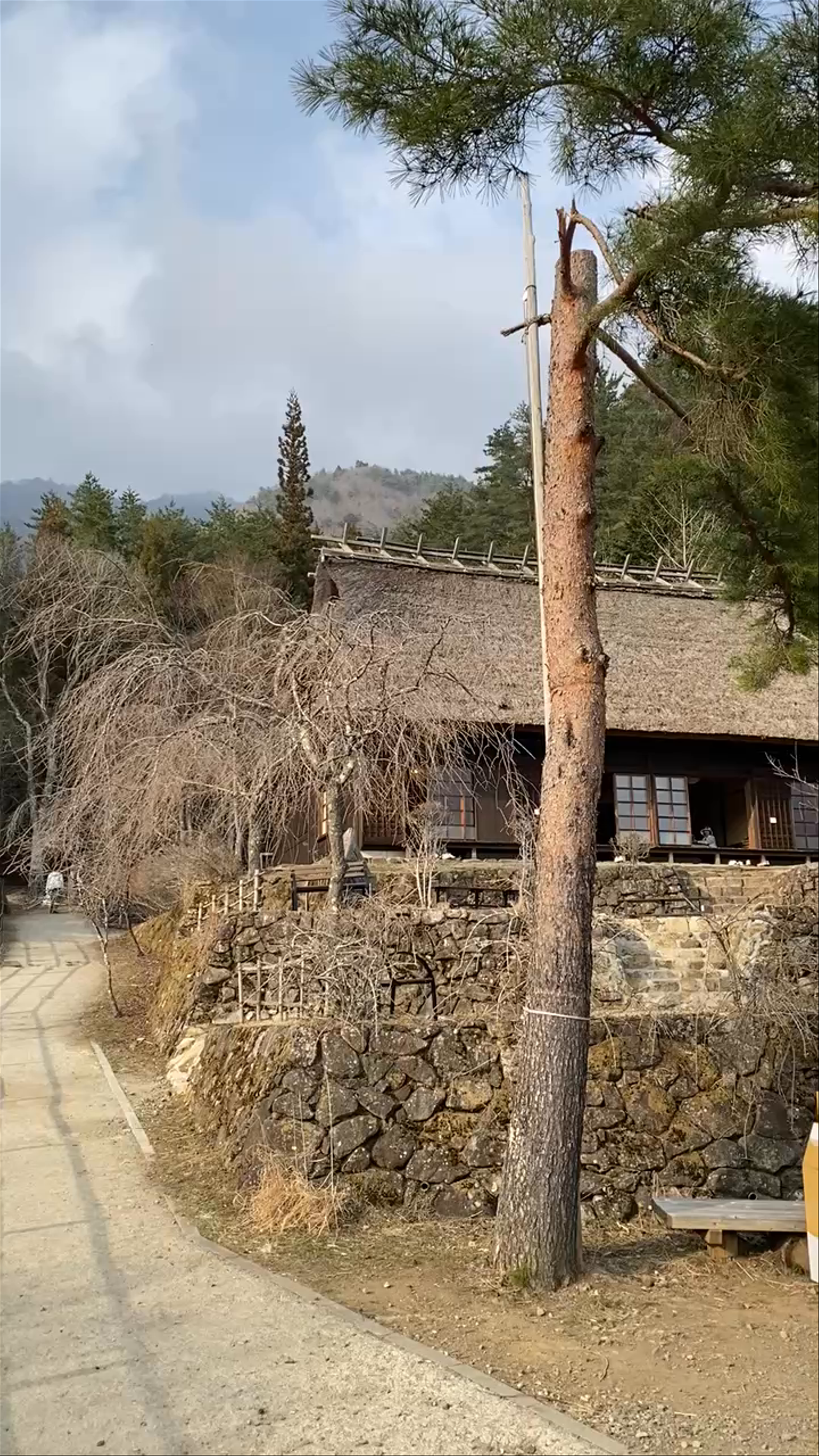 Saiko Iyashi-no-Sato Nenba: Traditional Japanese Village in Yamanashi
