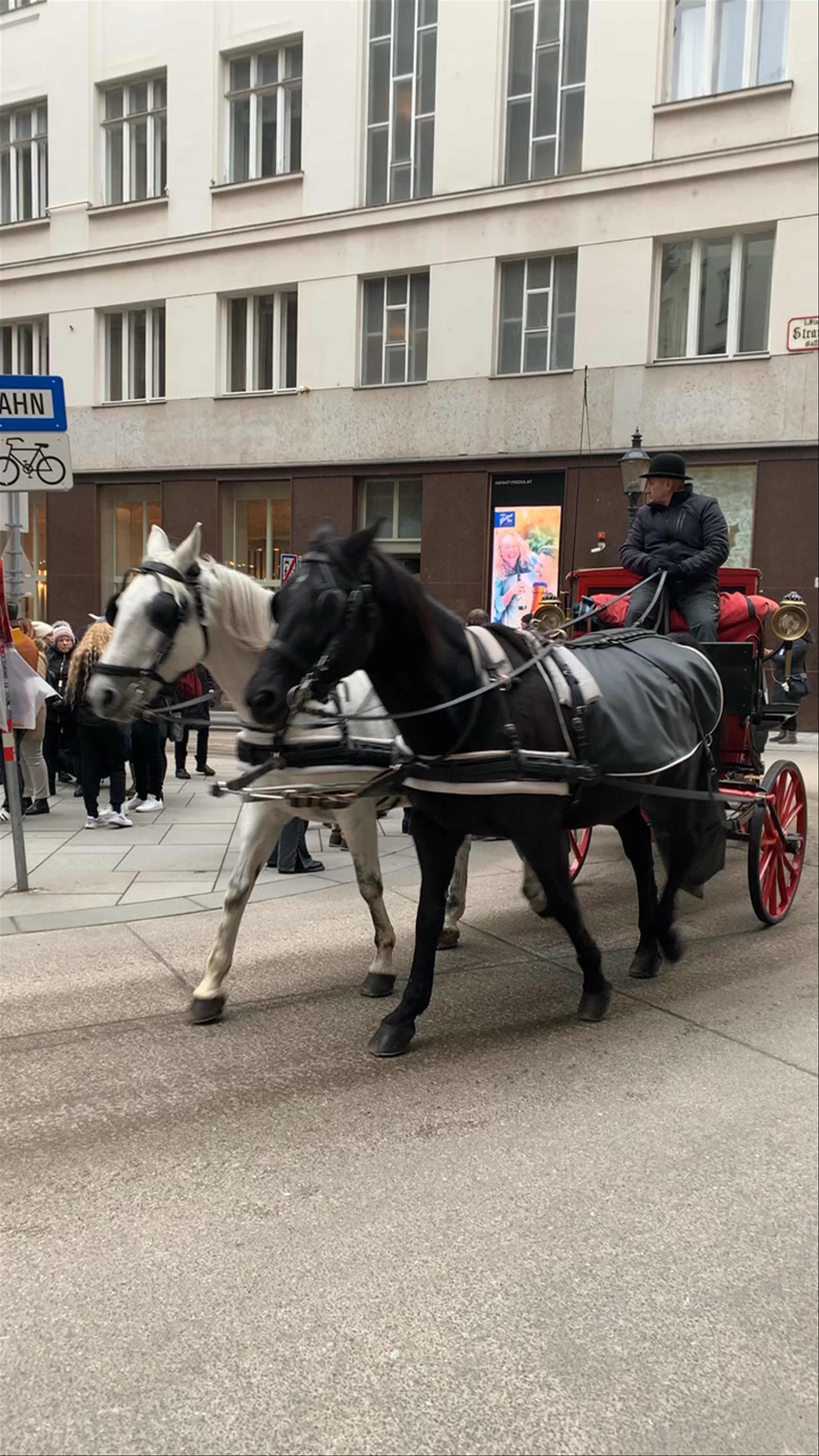 Horse-Drawn Carriage Tour in Vienna's Historic City Center
