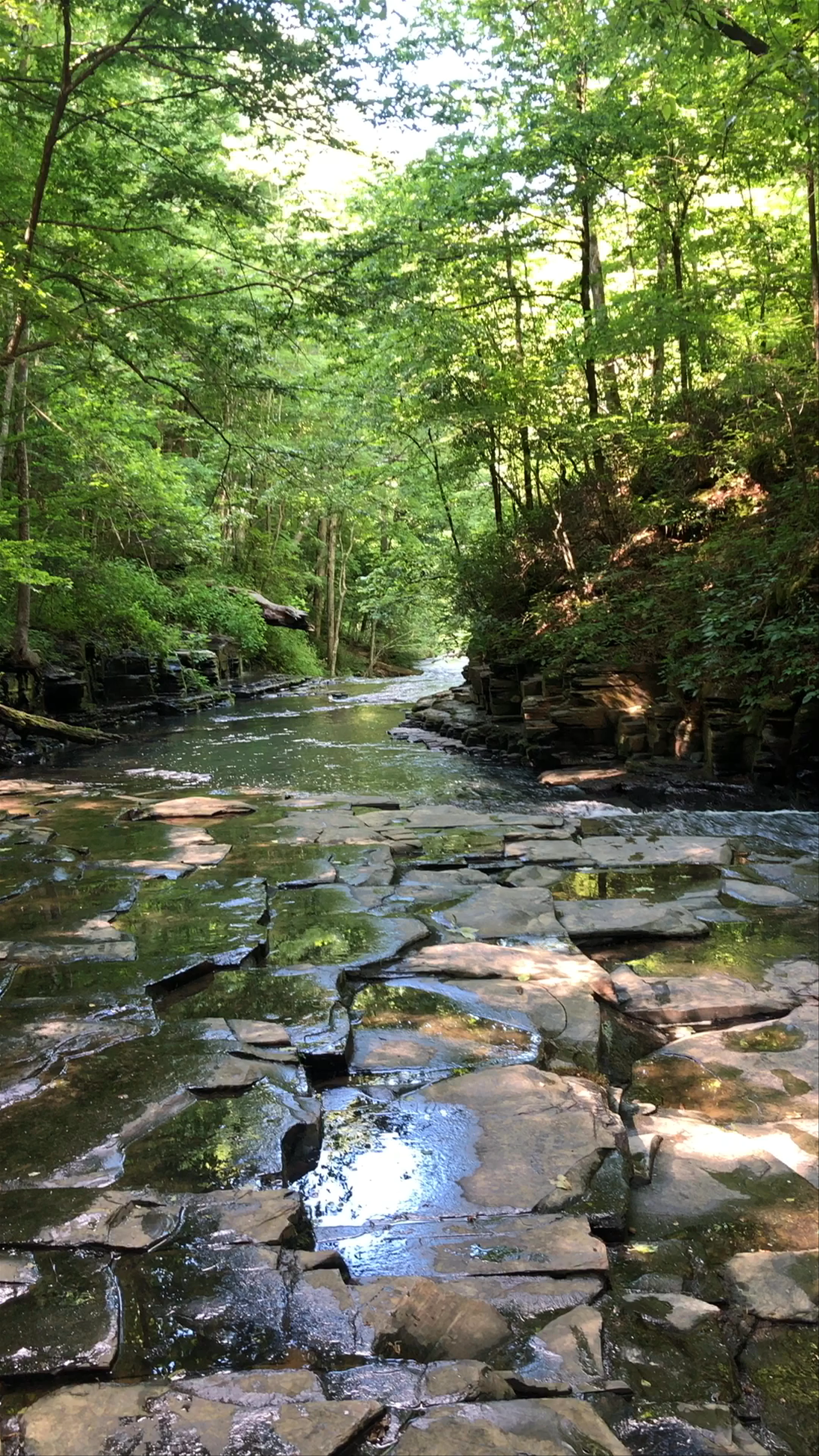Beaman Park, Ashland City, TN, USA