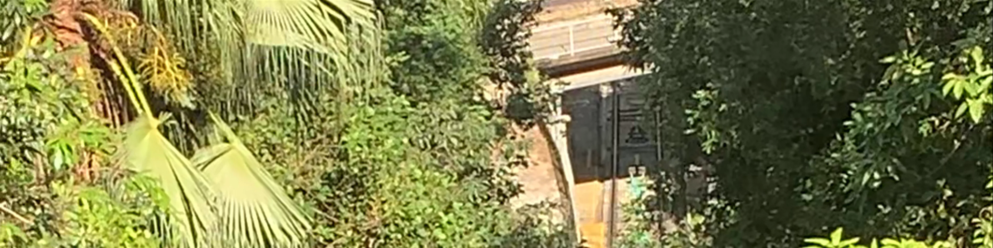 The Peak Tram