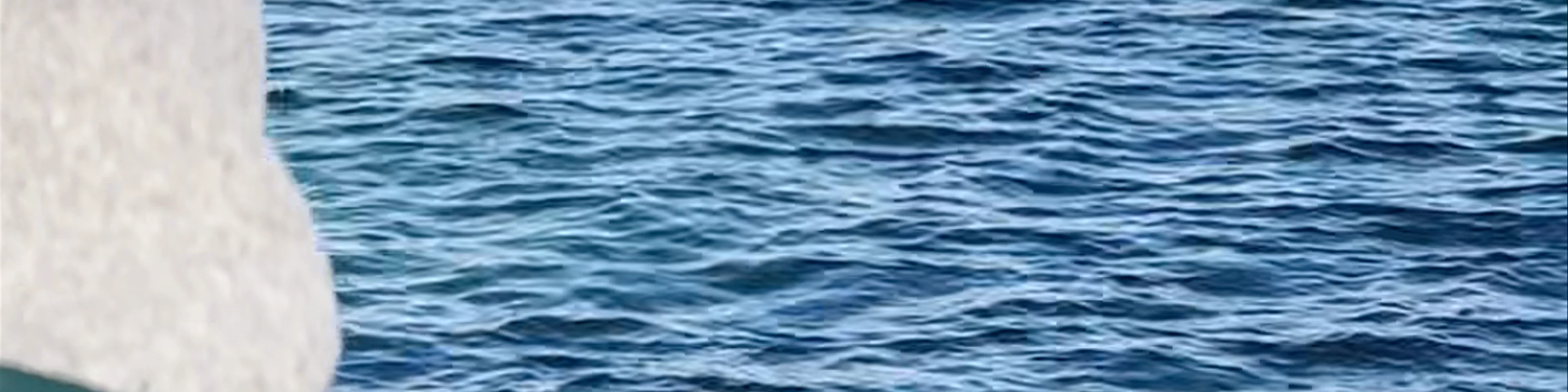 Jet d'Eau