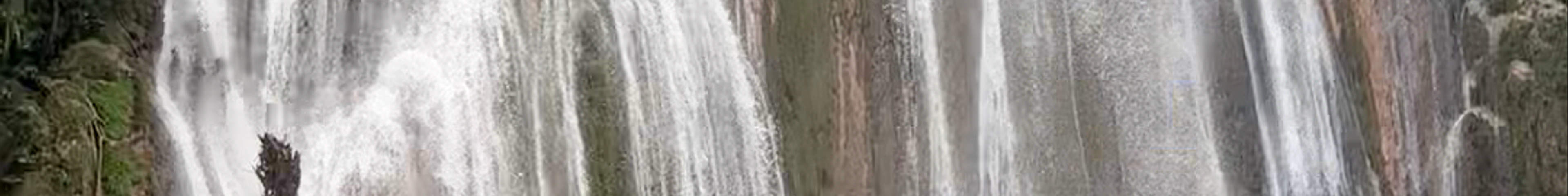 Tours & experiences in Samaná