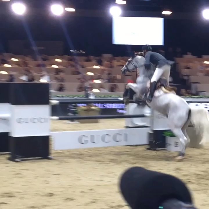 Wildling Equestrian - The Masters in LA - Horseback Riding Near Me - Costa Mesa, California