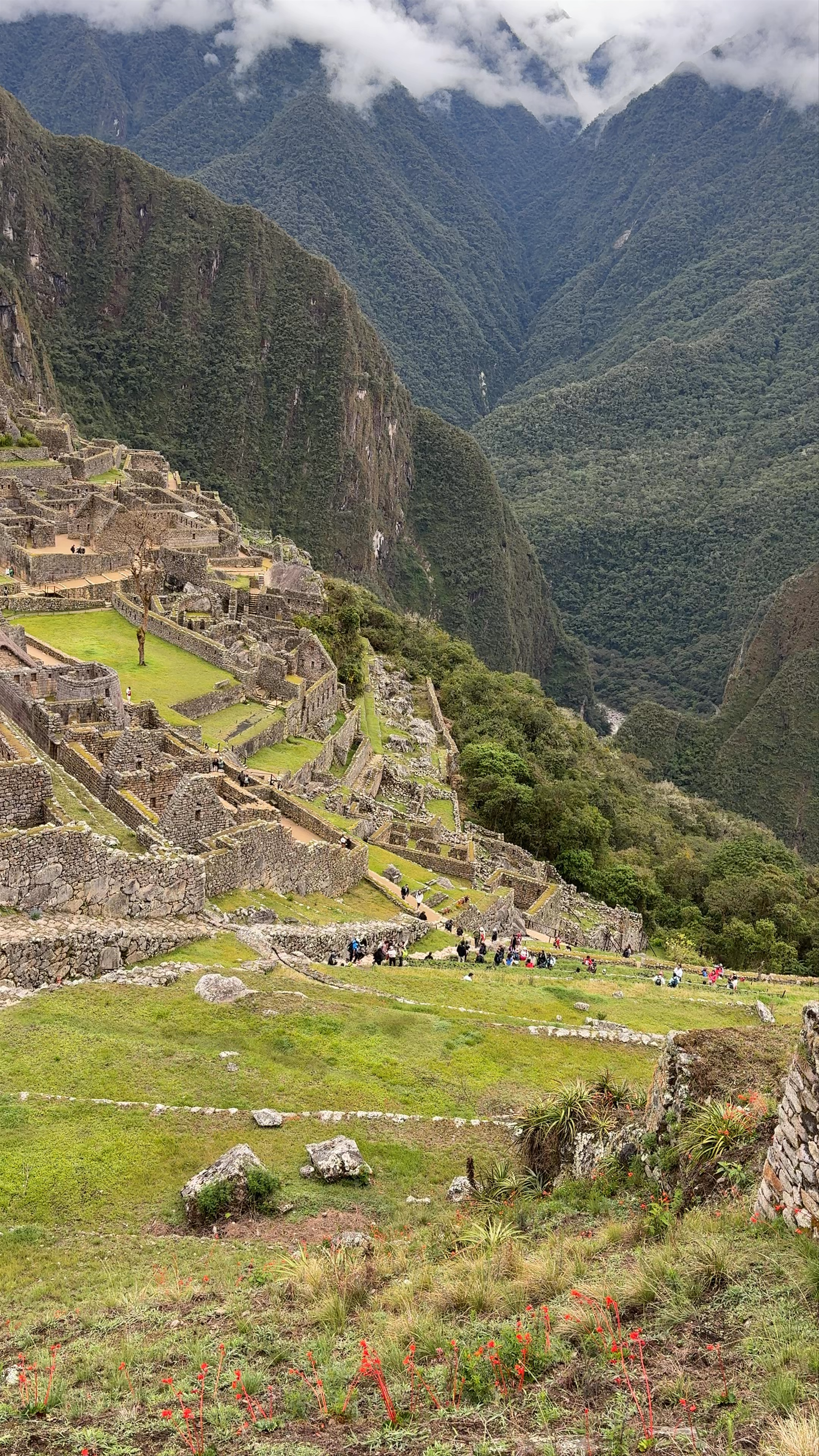 Machu Picchu Terraces