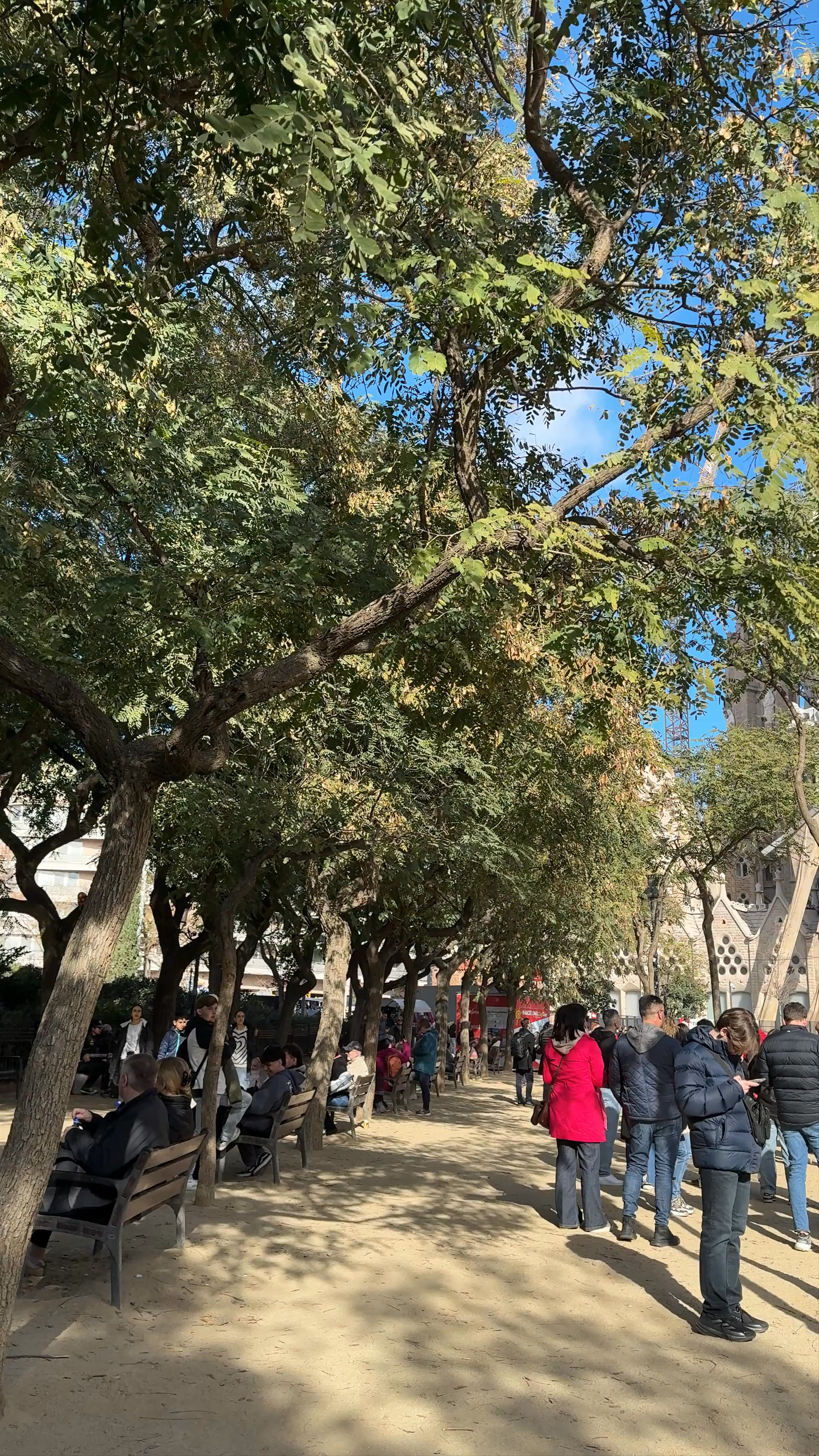 Sunlit Afternoon at La Sagrada Familia, Barcelona