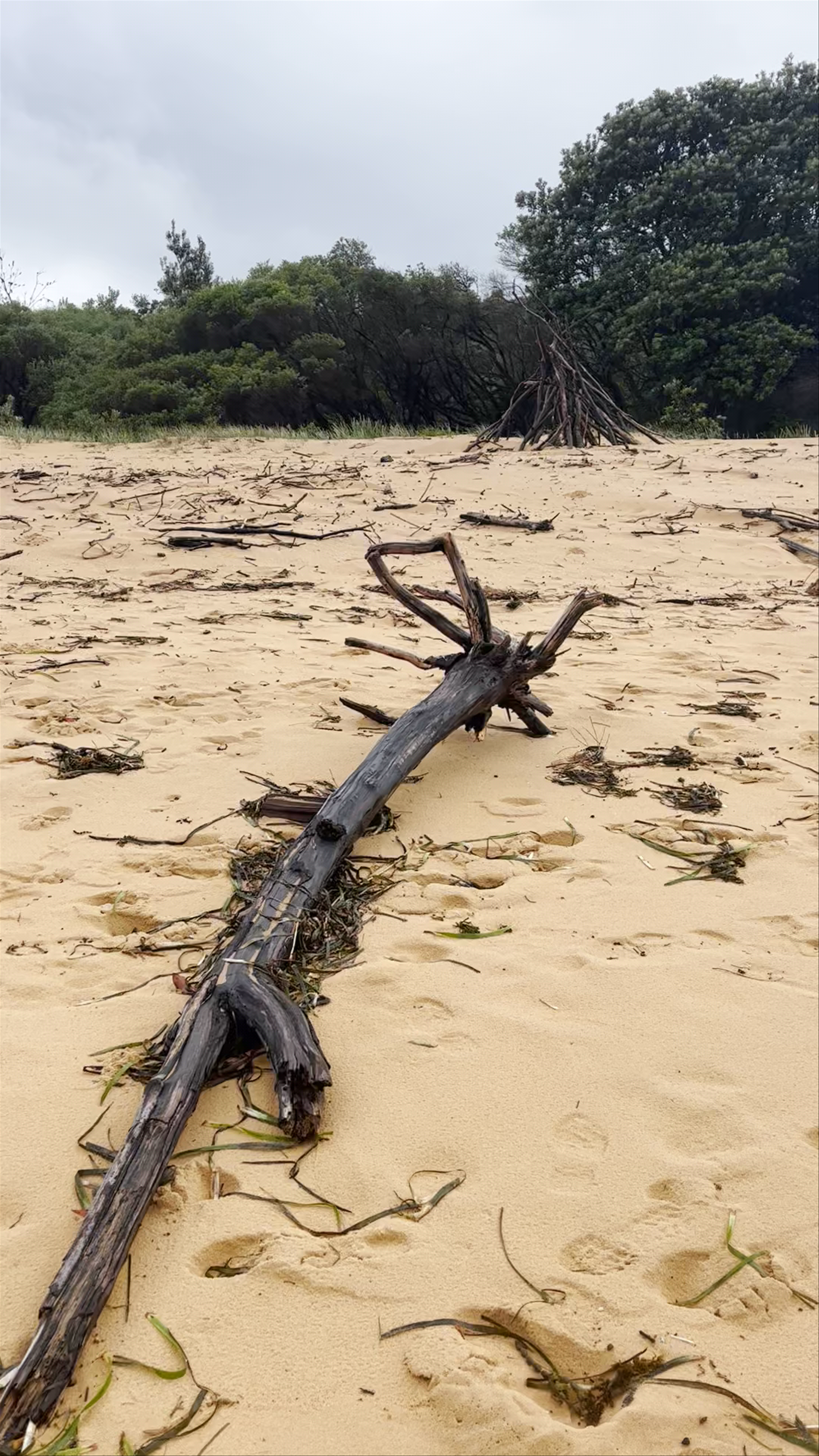Wild Coastal Walk at Putty Beach, New South Wales