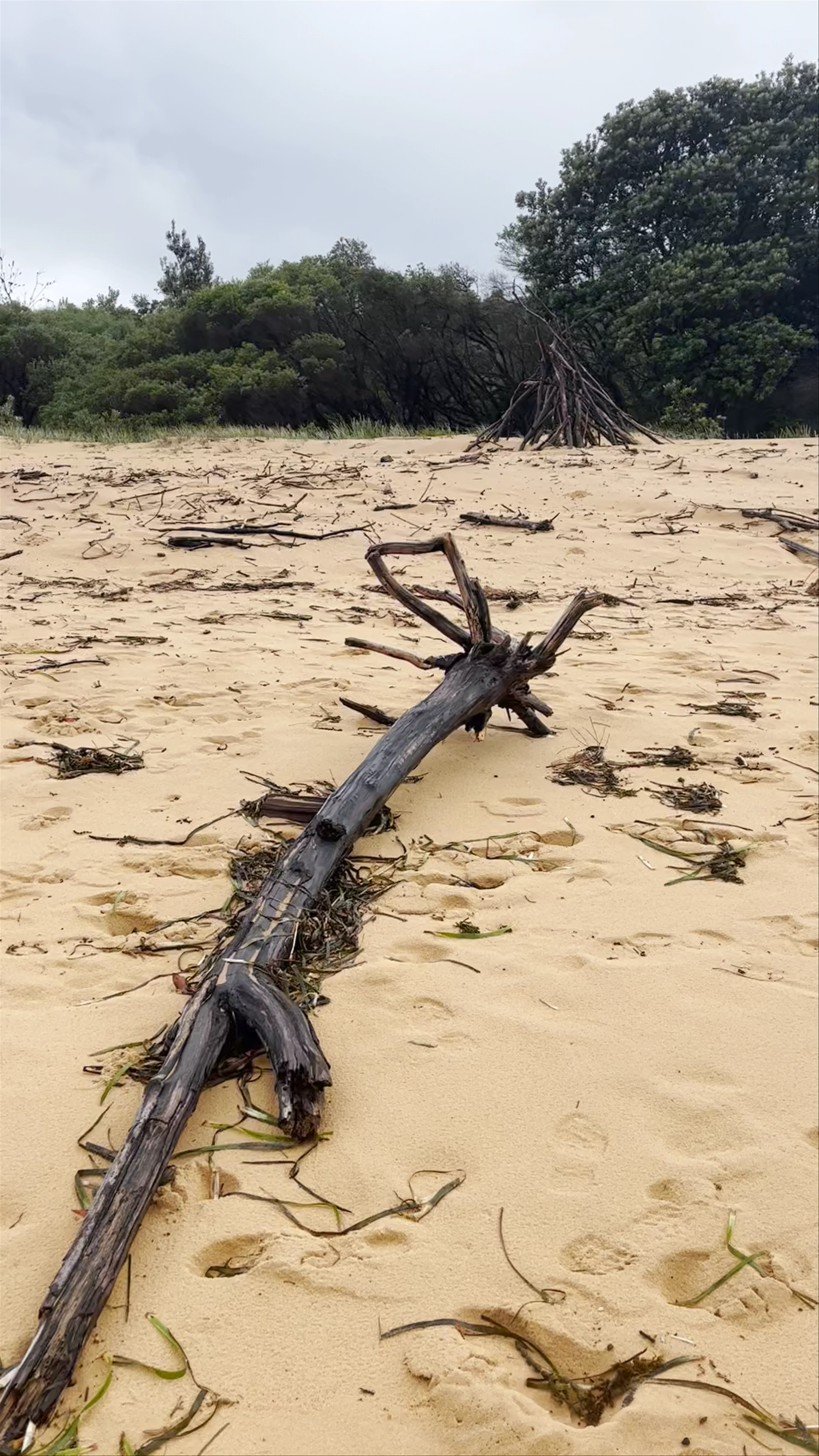 Putty Beach
