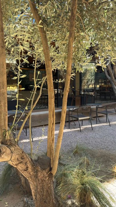 Bruma - Wineries Near Me - Ensenada, BCN