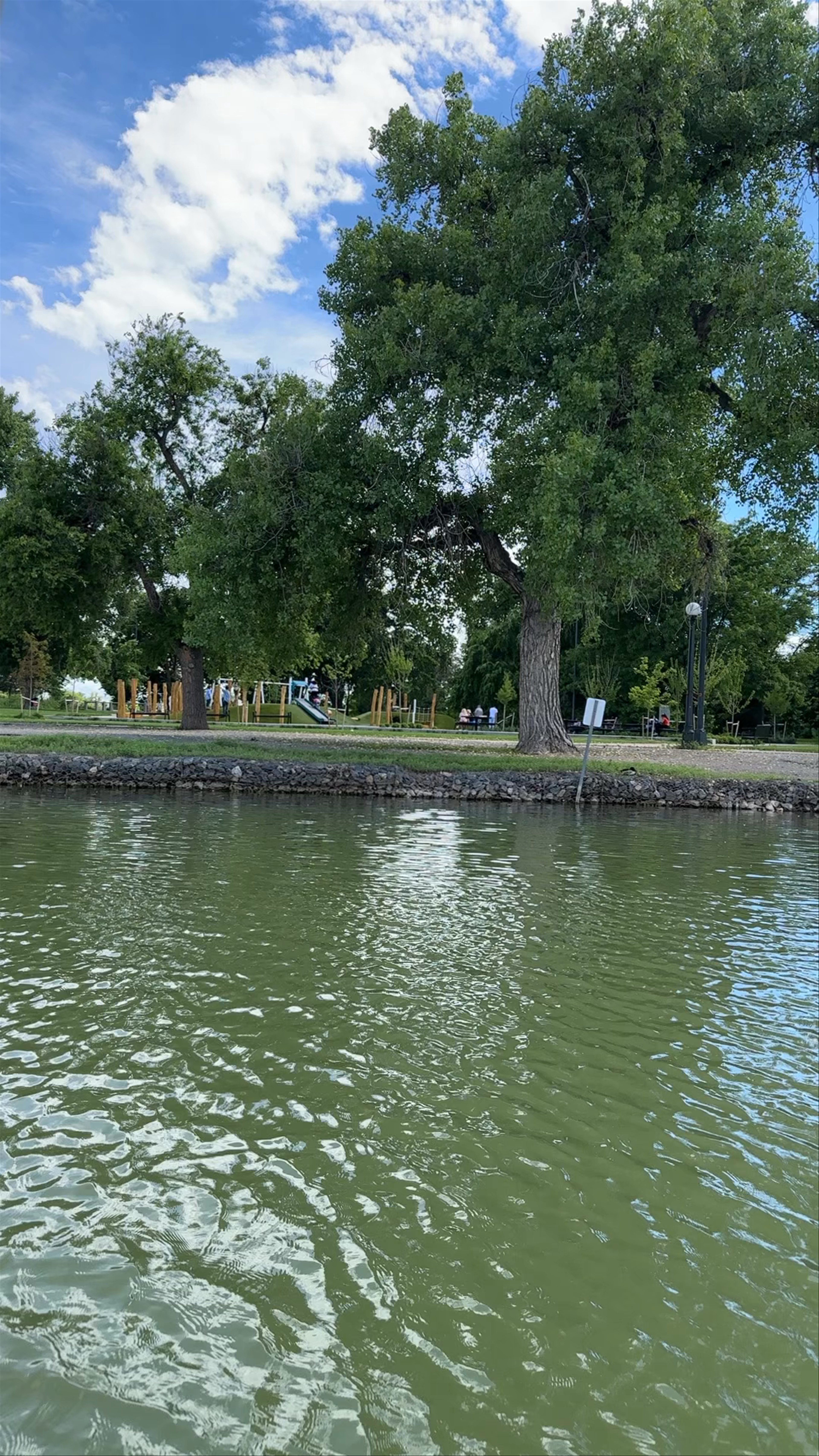 Peaceful Paddle Boating at Washington Park, Denver