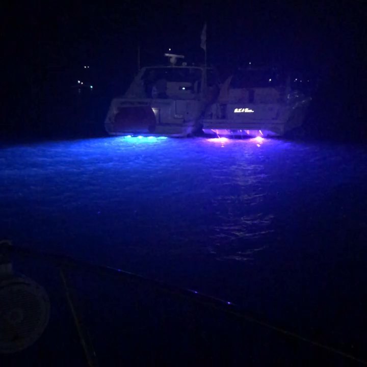 Chicago Boating Hub - Play Pen at night - Boating Near Me - Chicago, Illinois