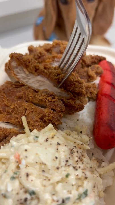 Hungry Jon's Place - Sandwiches Near Me - Honolulu, Hawaii